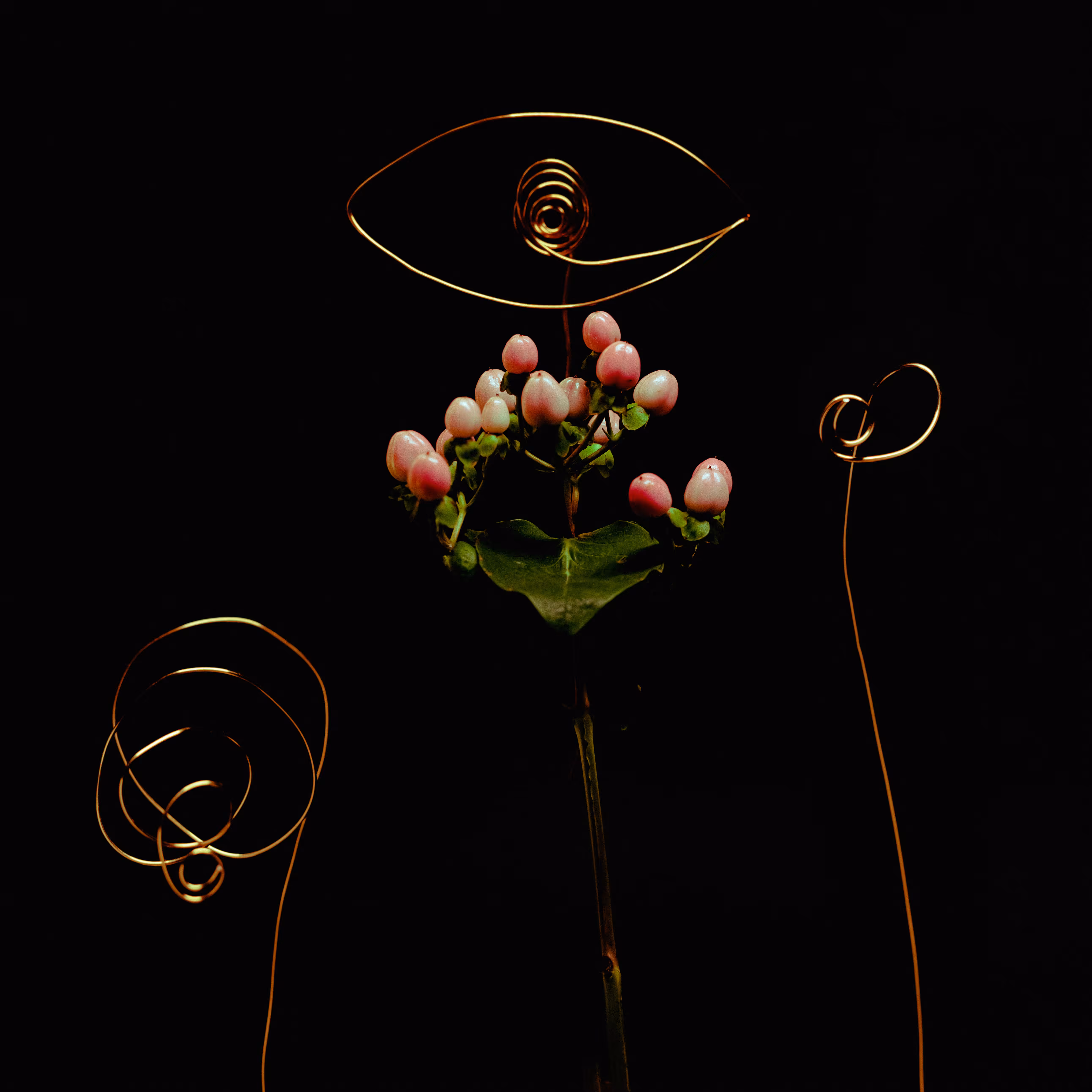 High inflorescence