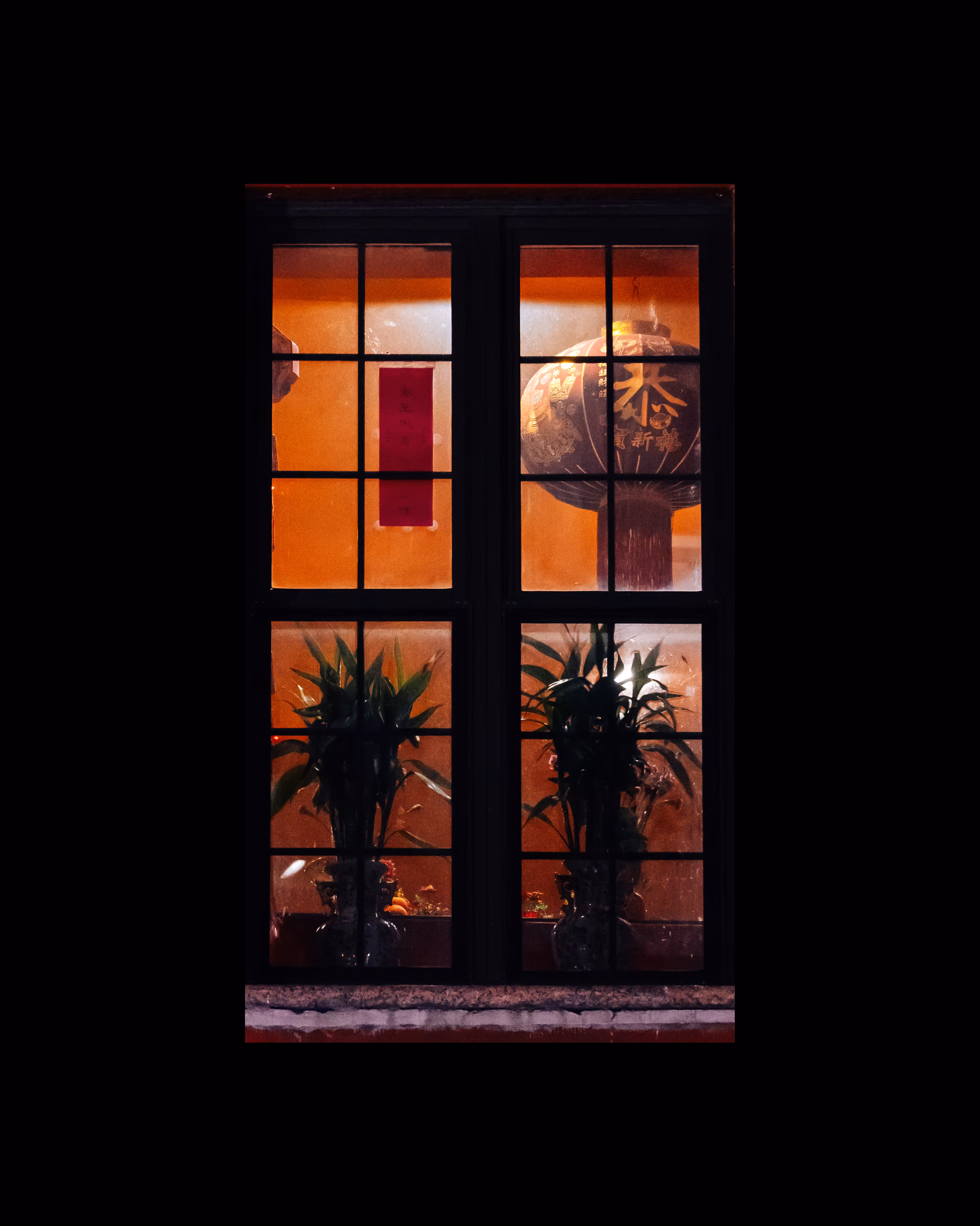 WINDOWS // NYC: WINDOW 259