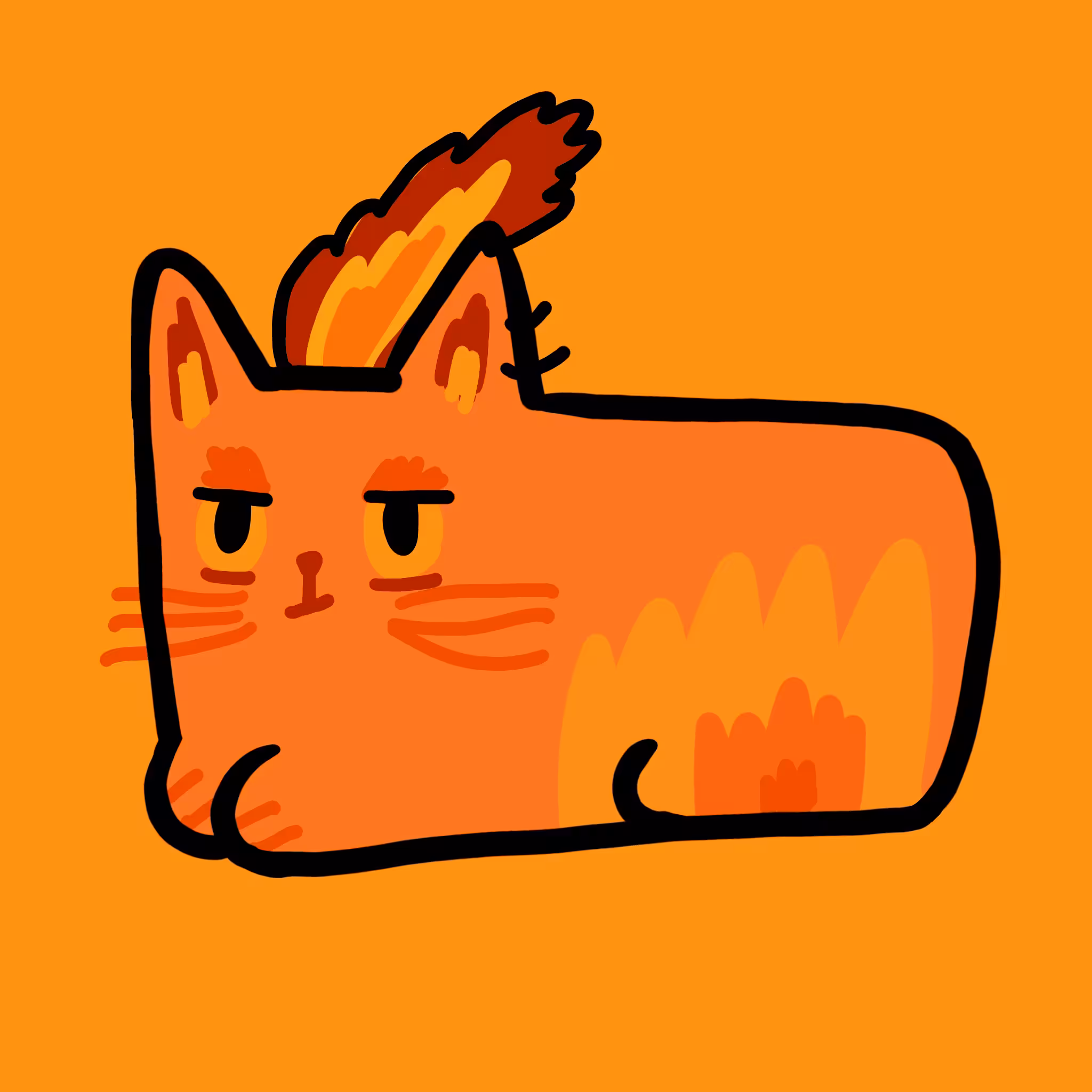 Sunny cat 07