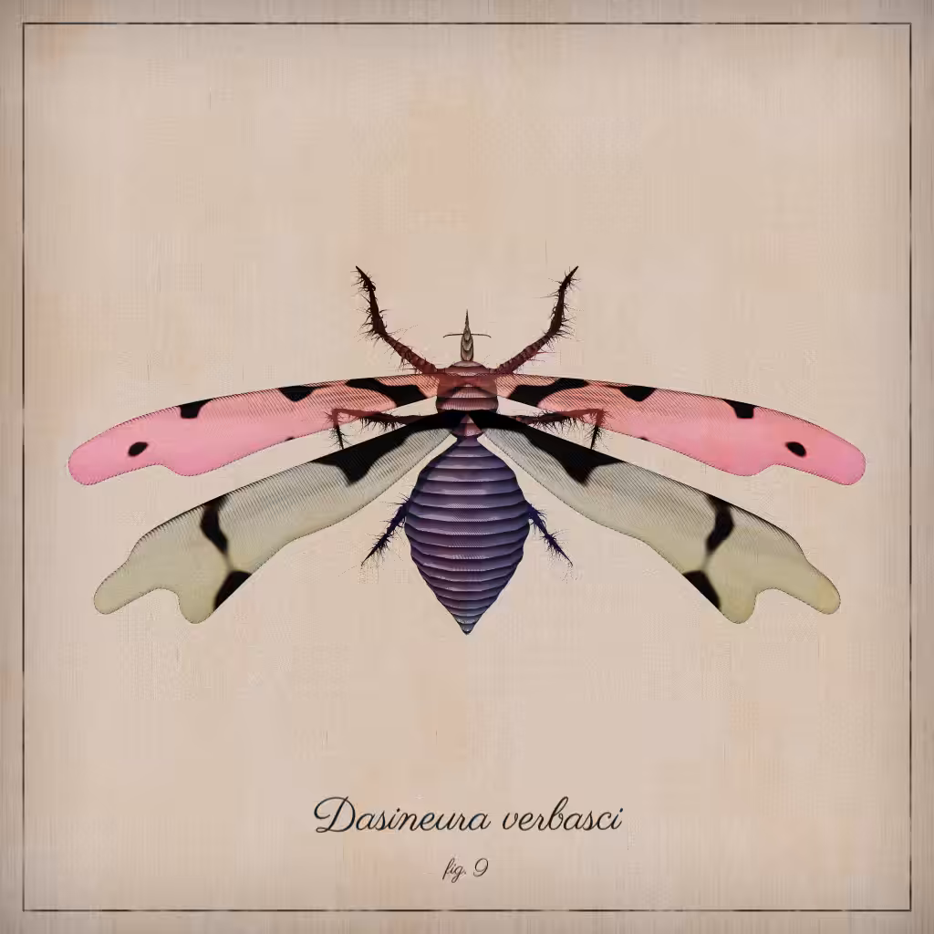 ProcGen Entomology #210