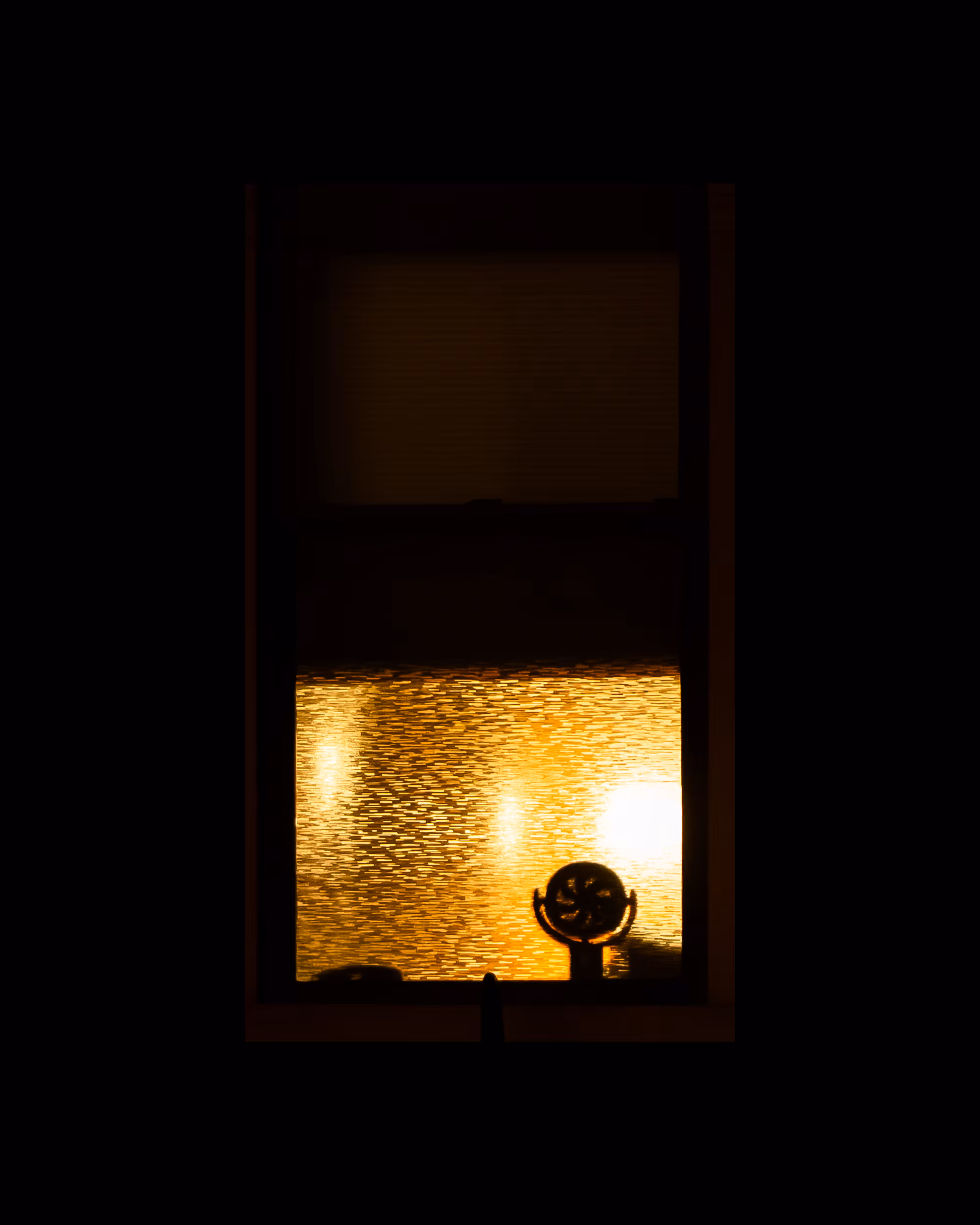 WINDOWS // NYC: WINDOW 869