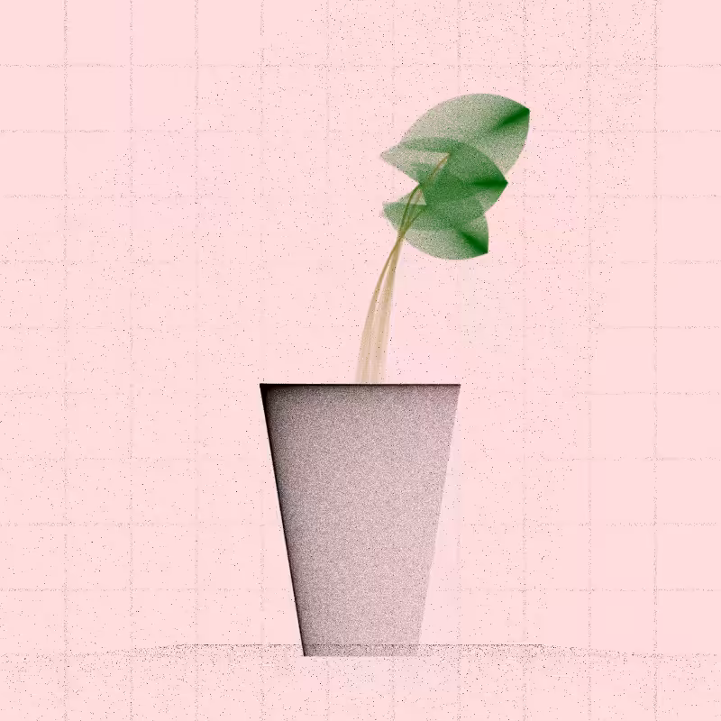 🌱 Potted & Printed #422