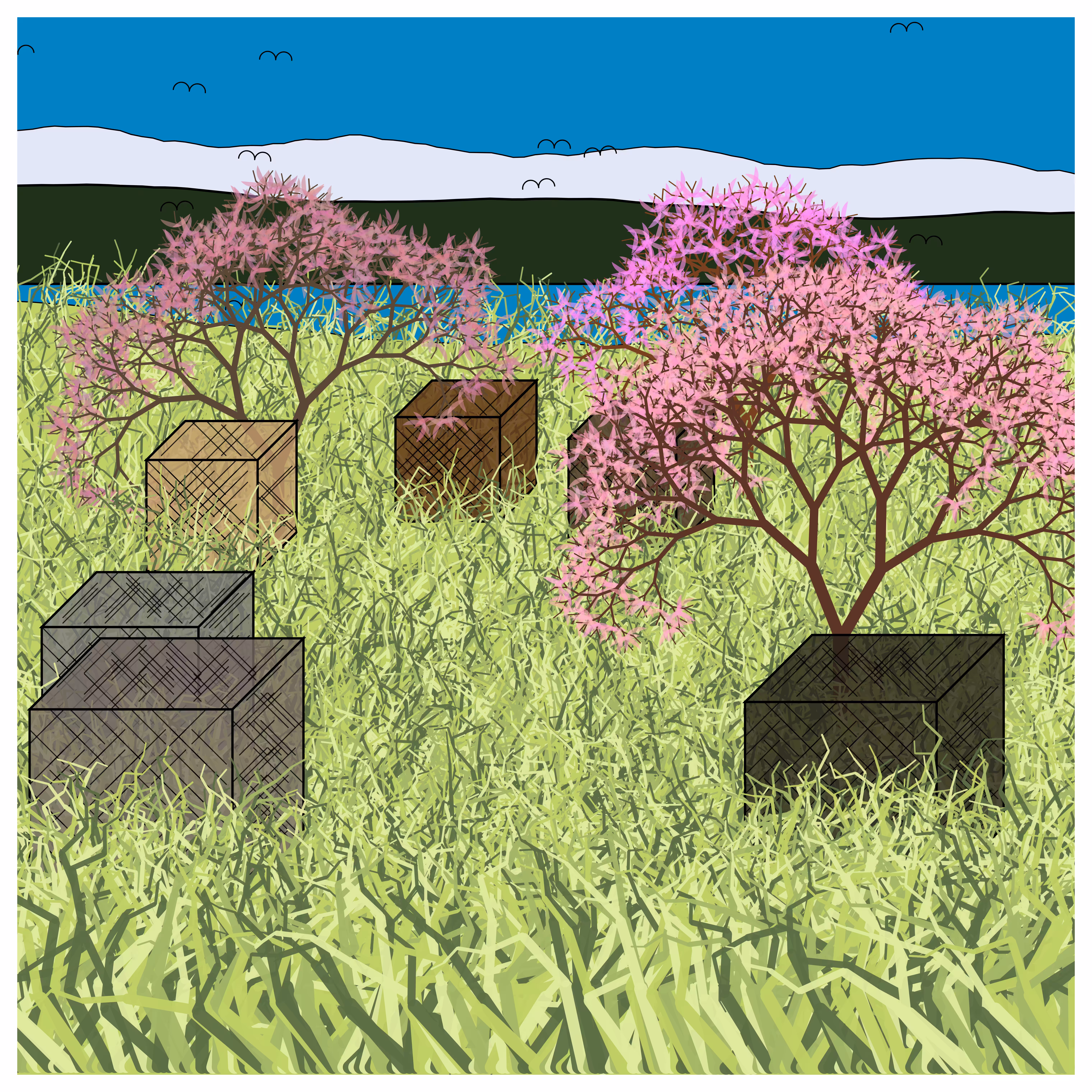 Cube Forest #5
