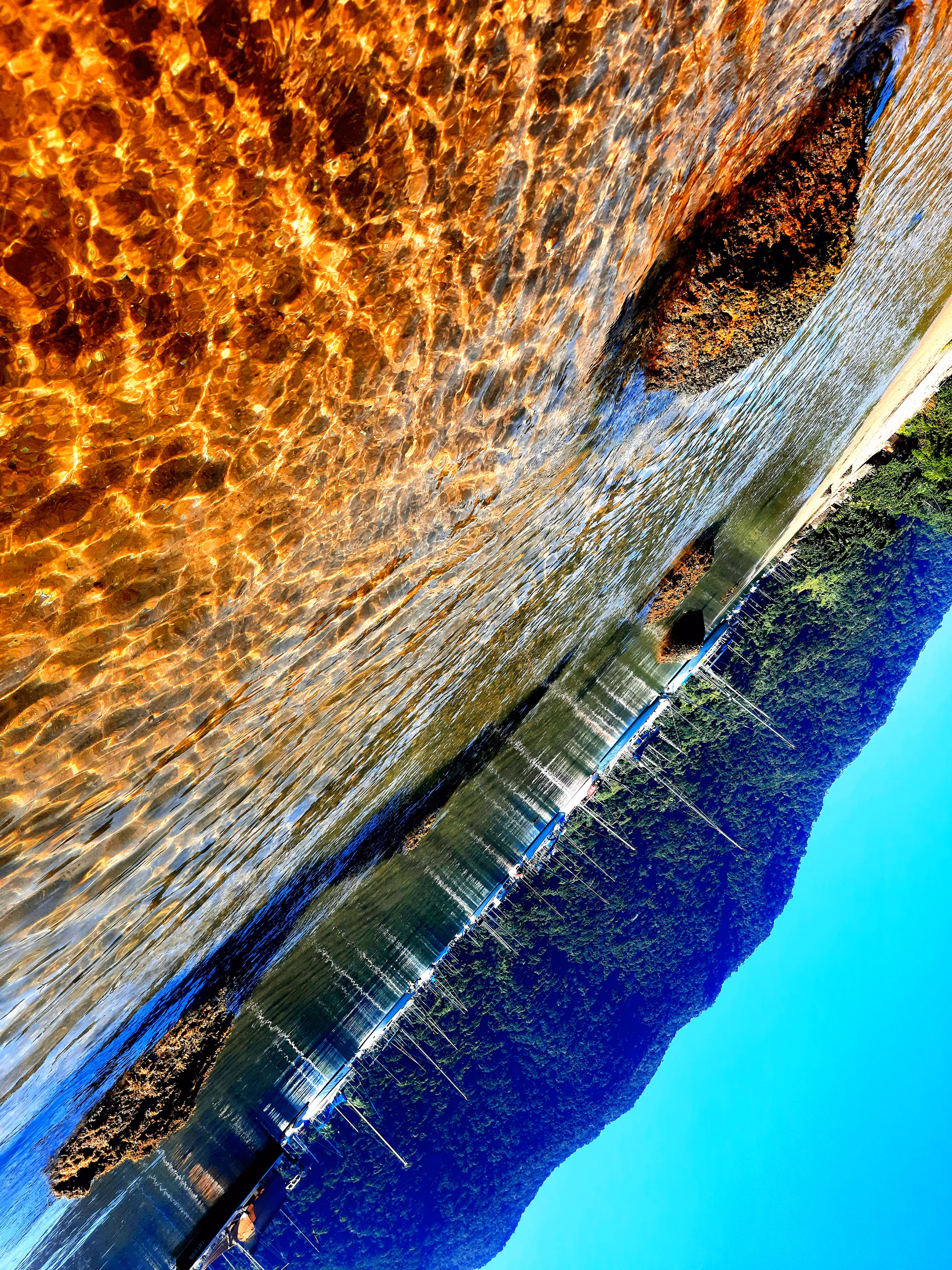 Distorted-Nature#4