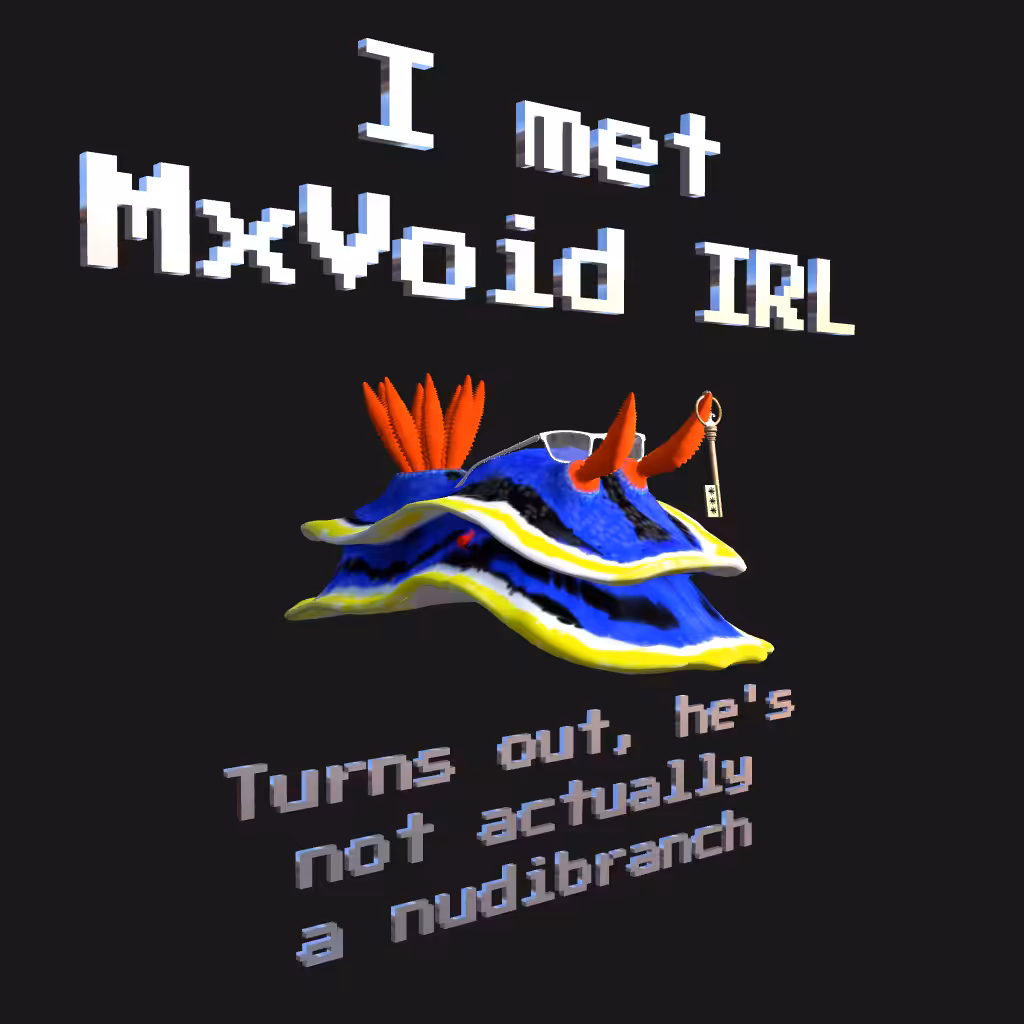 I Met MxVoid IRL