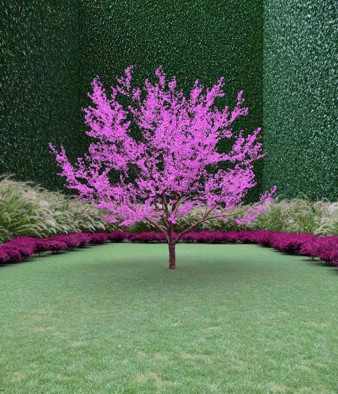 Garden of Imagination #1