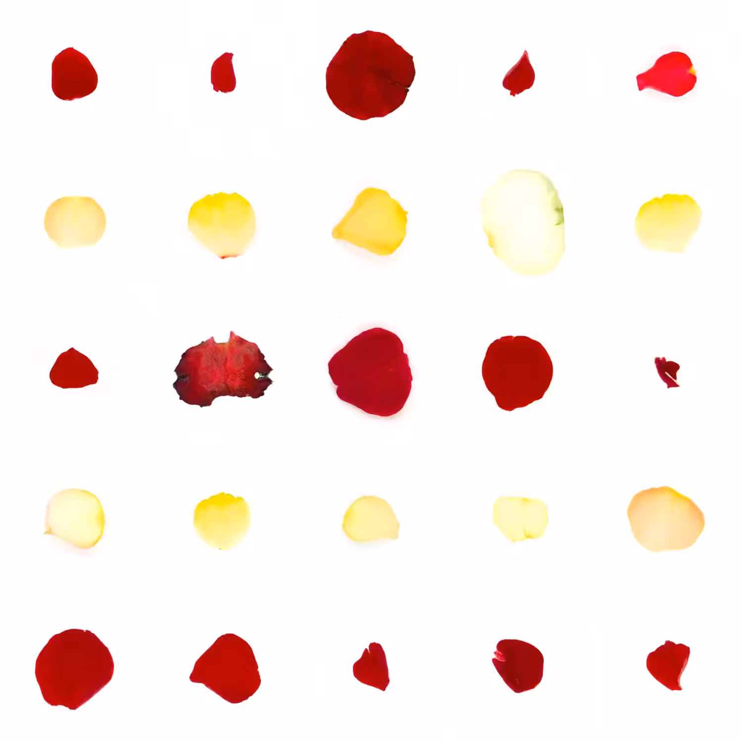Infinite Petals 5x5#1597