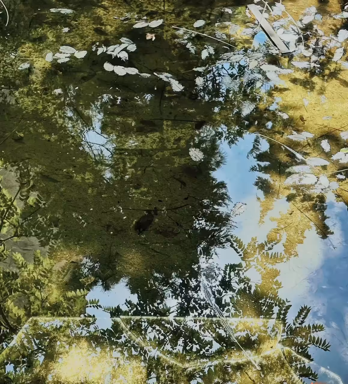 What’s up? -Autumn is coming!