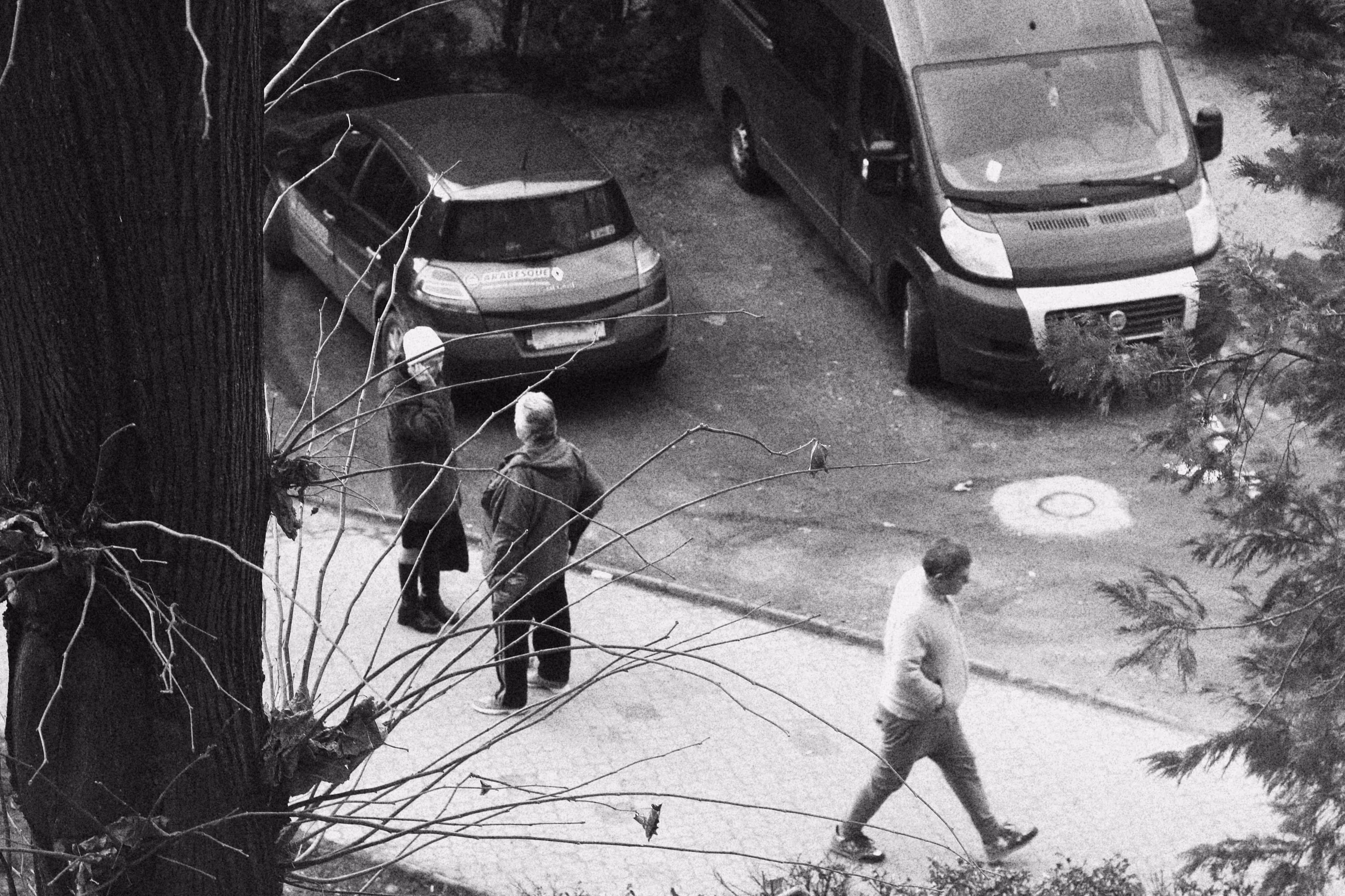 A glance from my window
