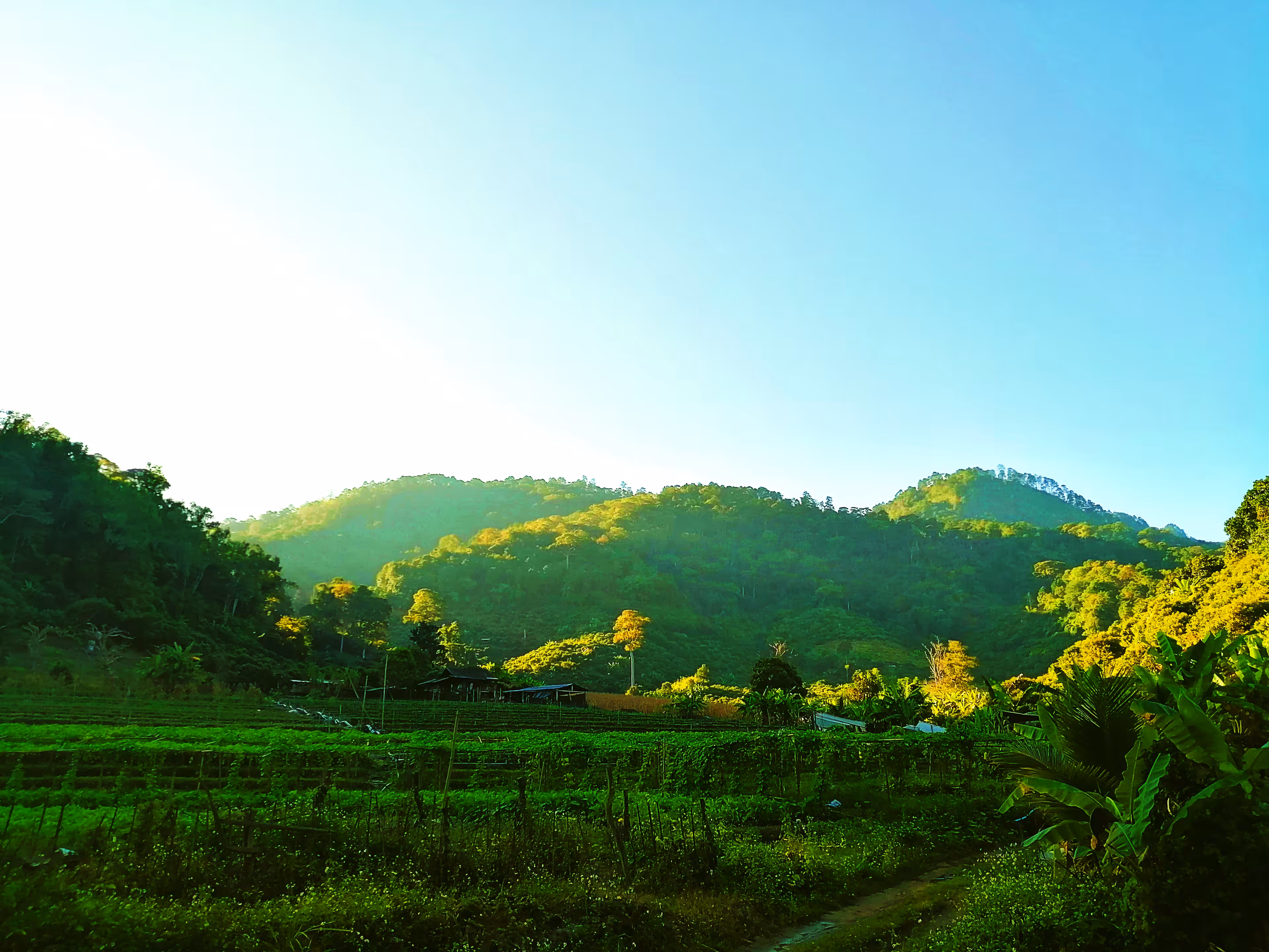 Green mountain