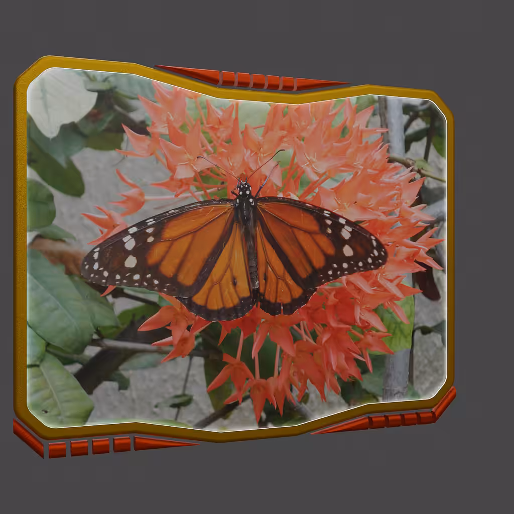 Monarch Butterfly