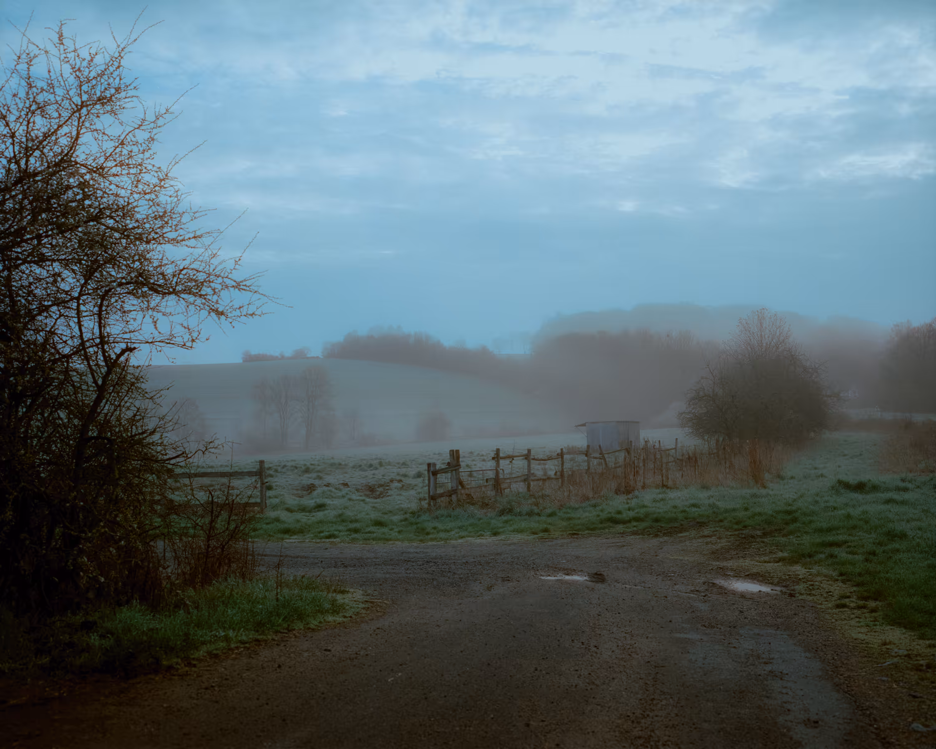 Whispers of the Dawn