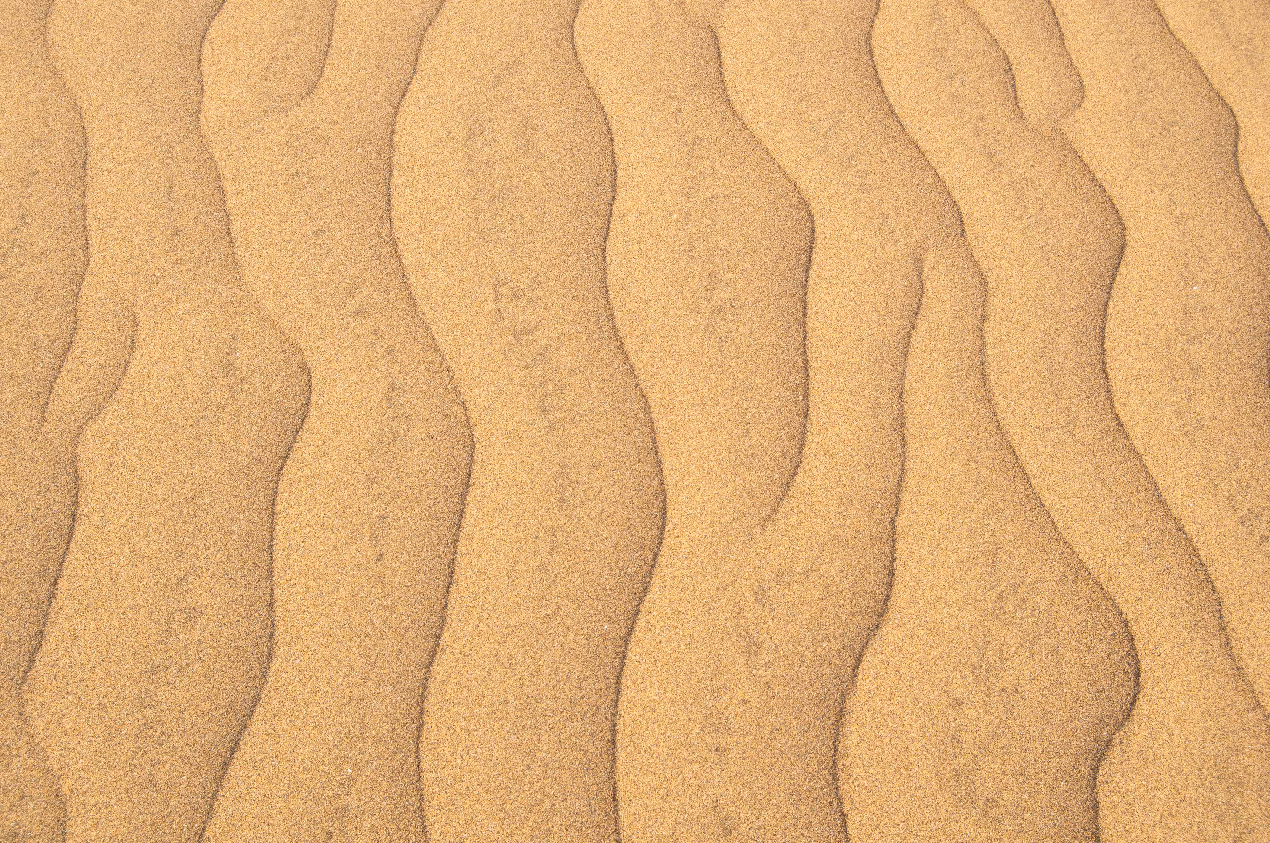Lines and gold