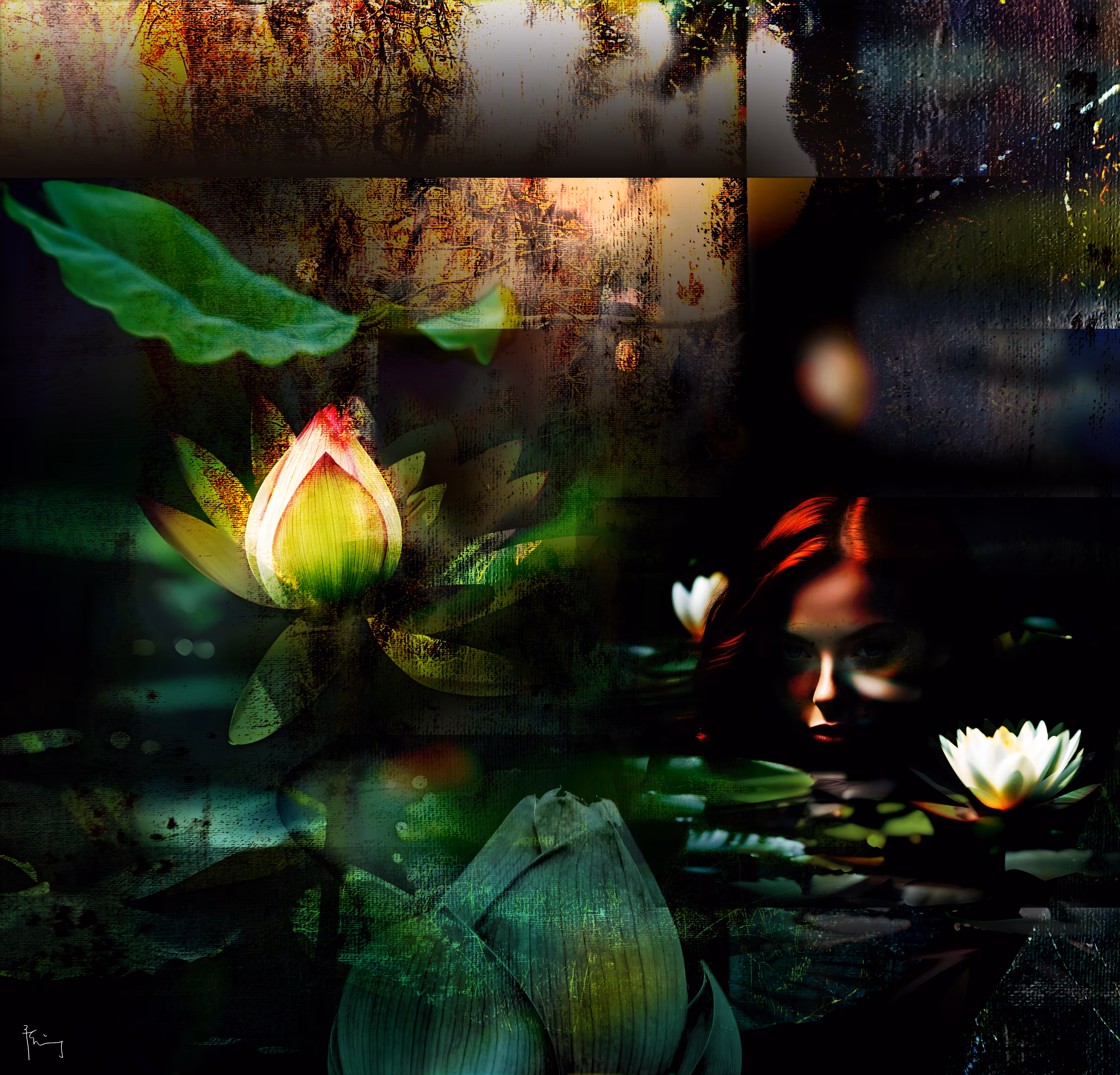 Water Lily Nymph, Birth . Feeling Flowers #4 #1