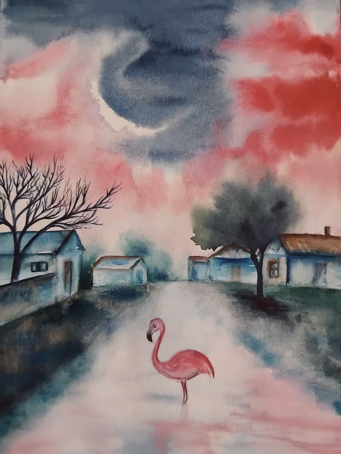 Flamingo 🦩 