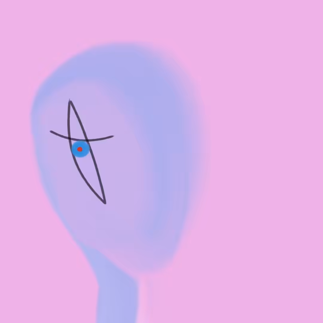 Spy