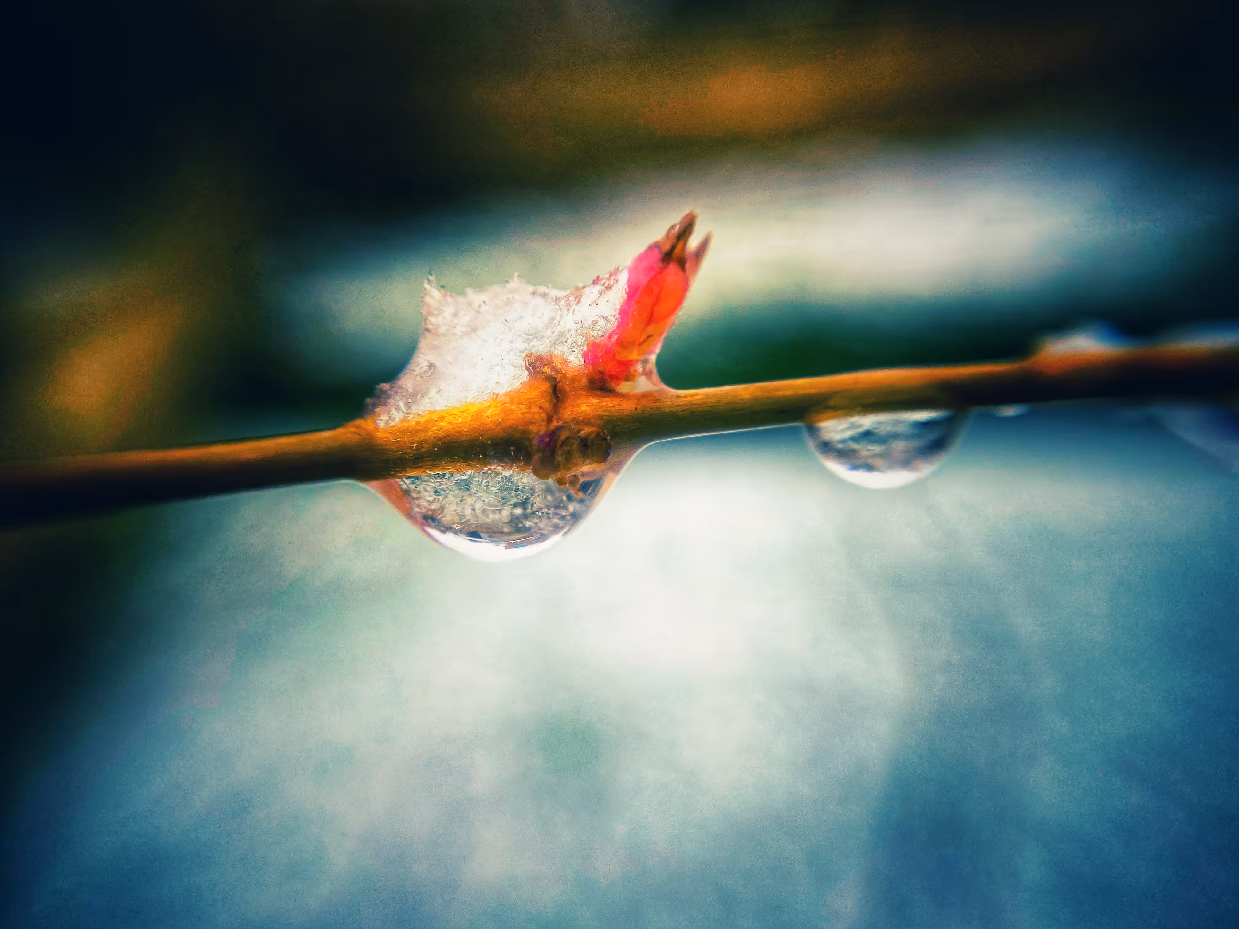 Frozen Heart