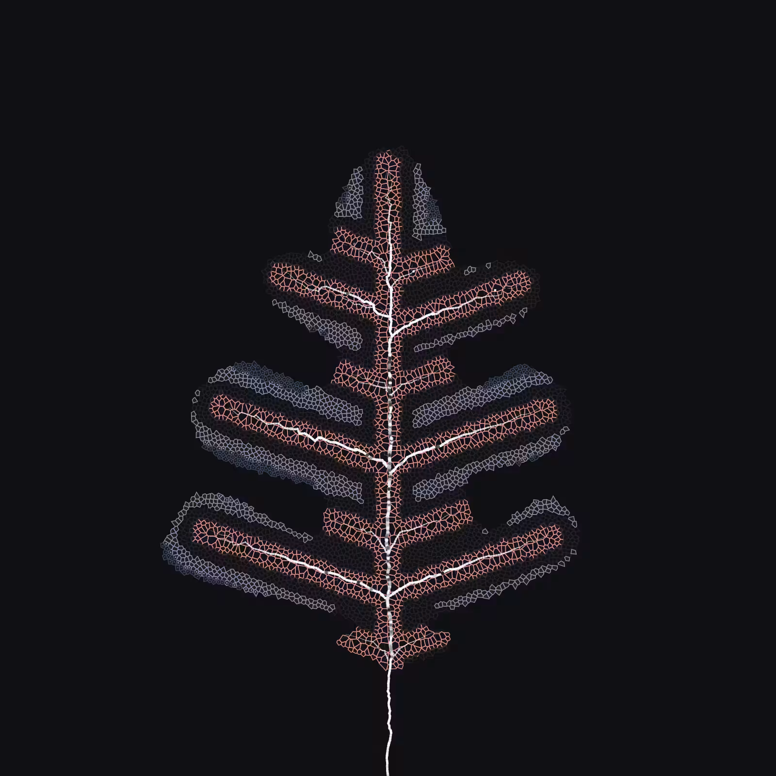 Leaf study #3