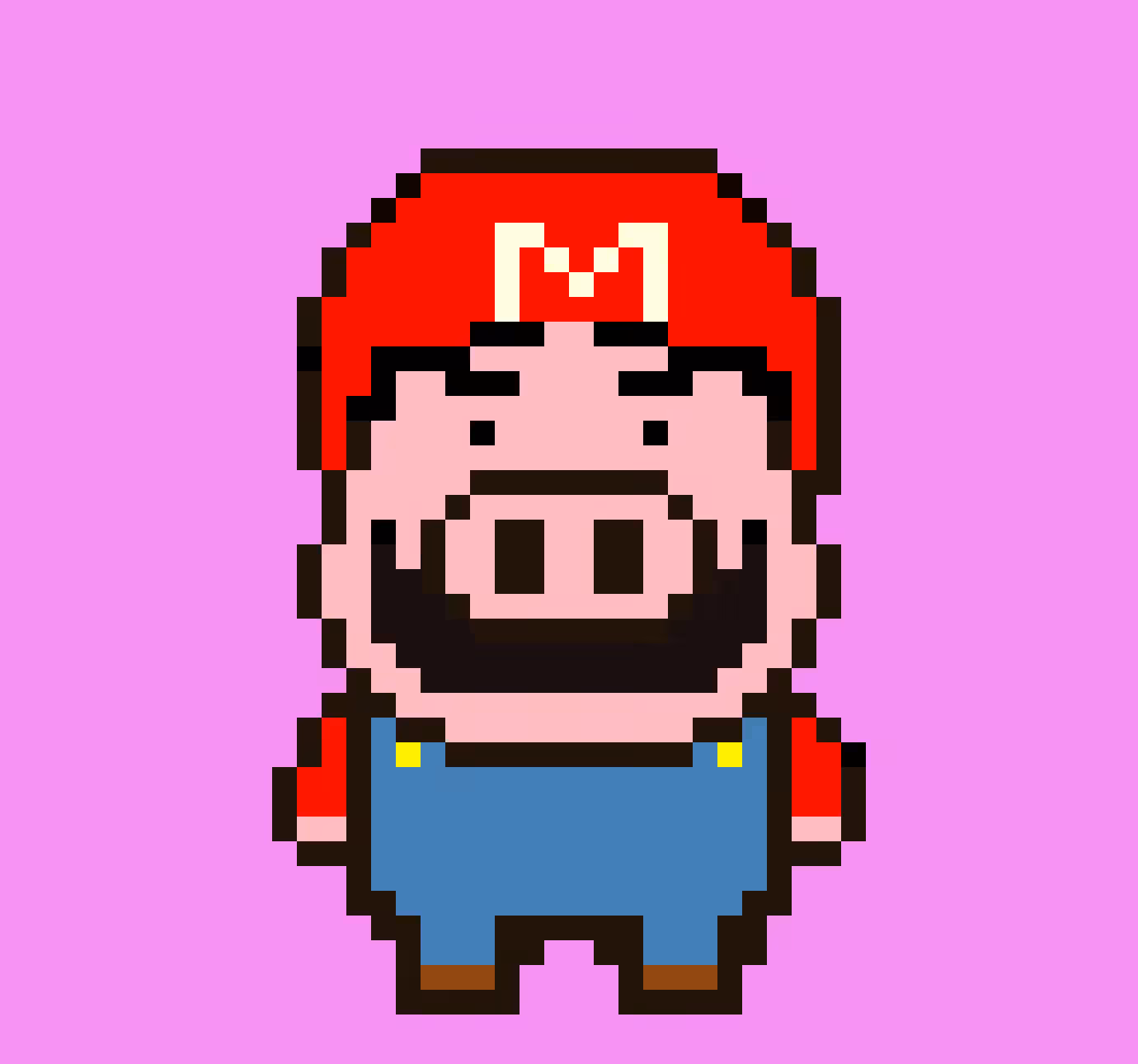 Mr Ham Mario #009