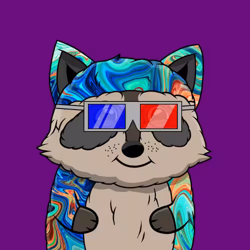 Raccoon #106