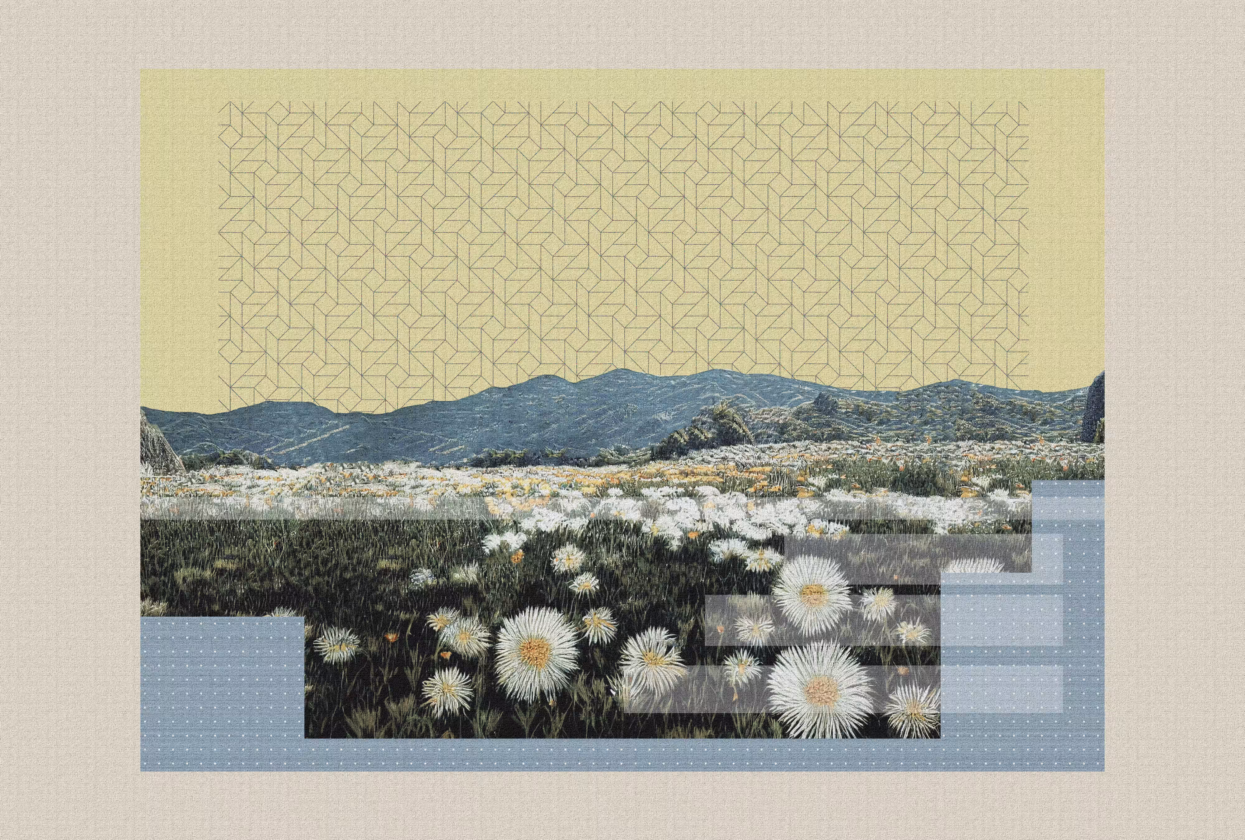 APYCH: Echoes #5