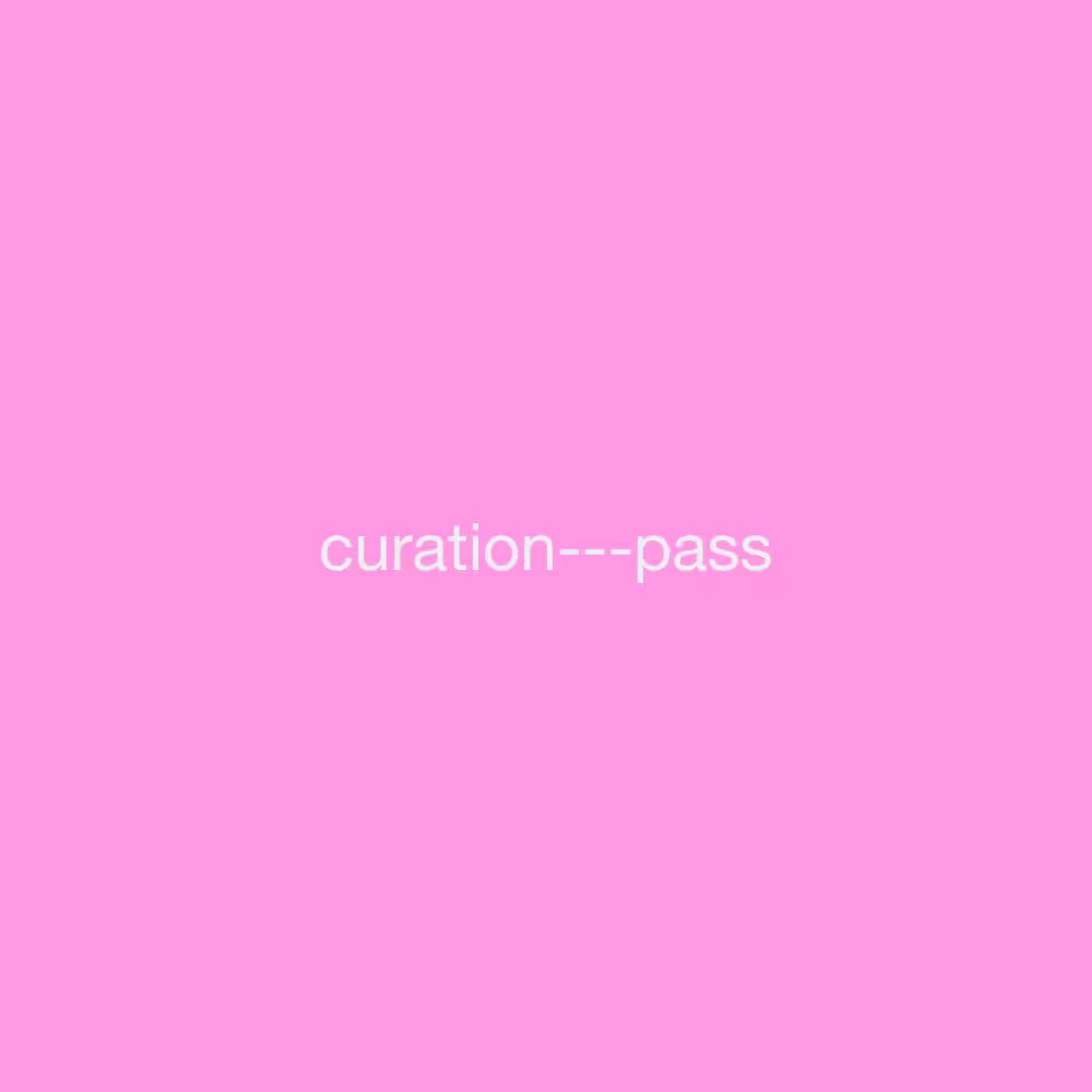 Public Assembly Curation Pass