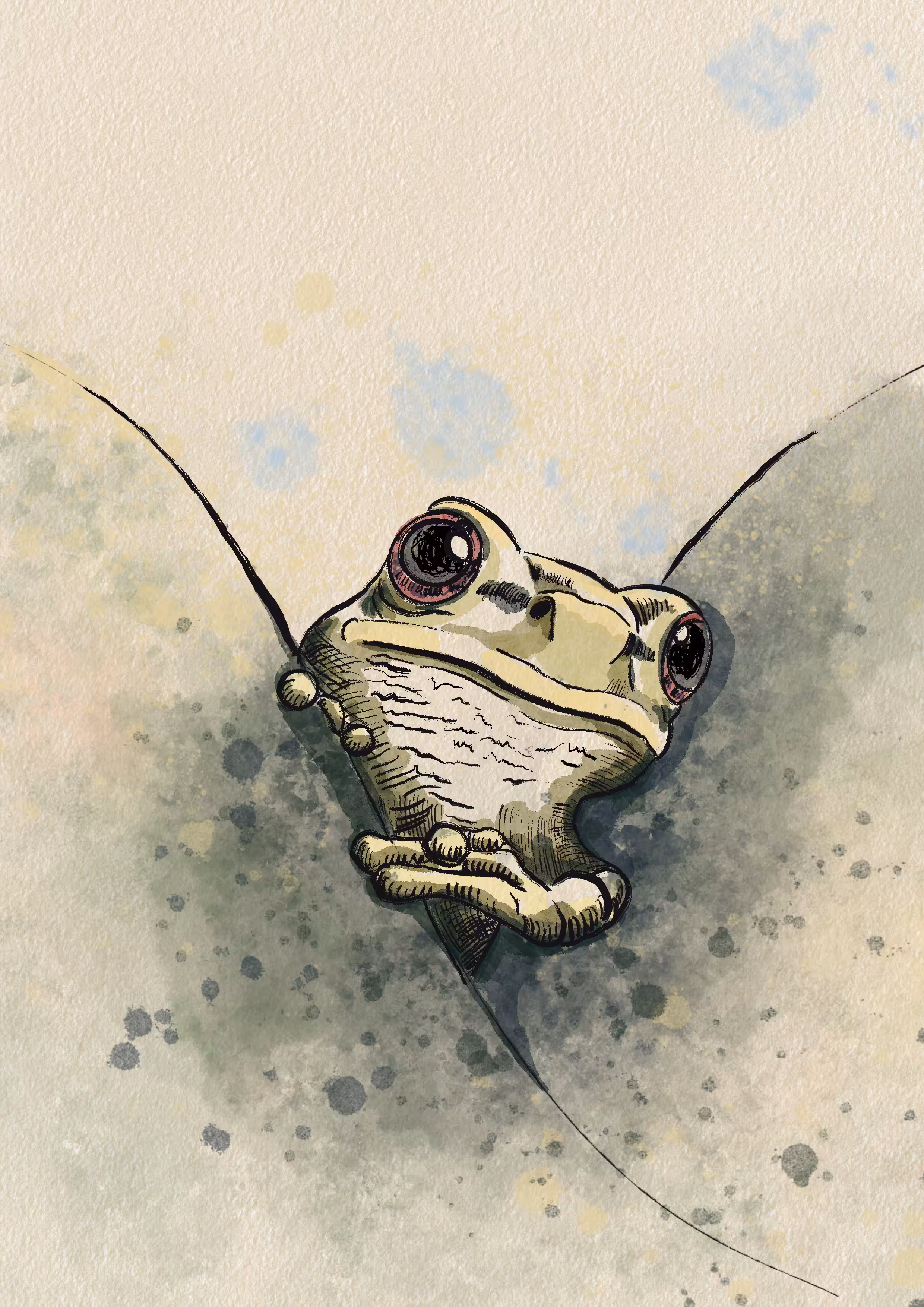 Shiny Frogie 