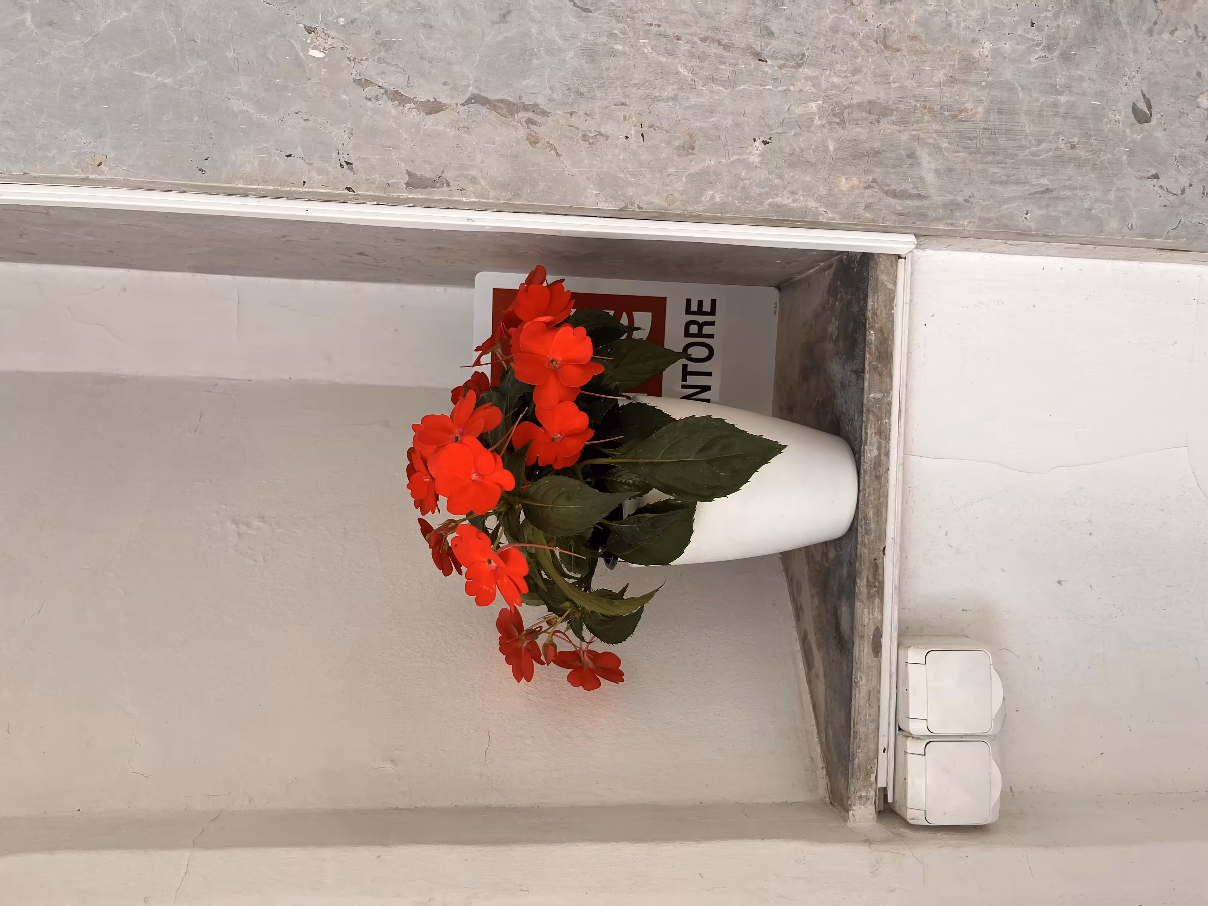 Art Biennale flowers