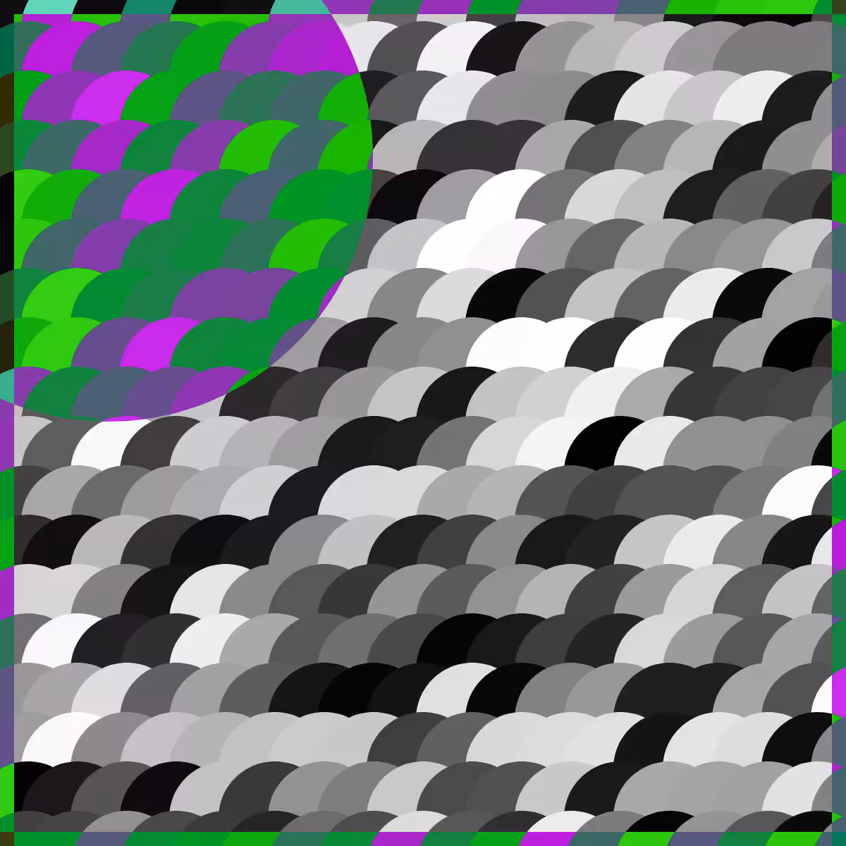 Magnify #8