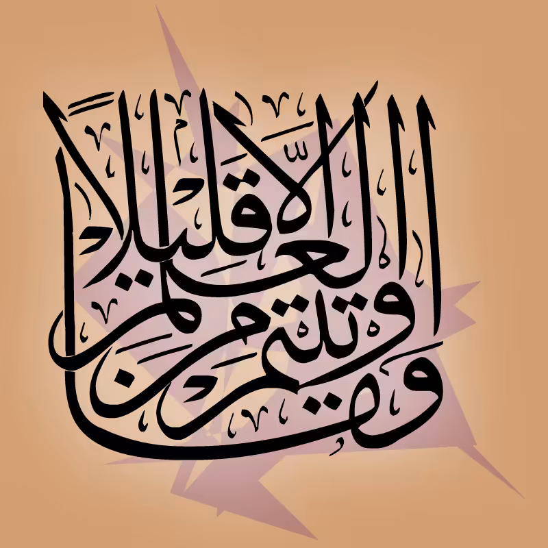 MAJID #1