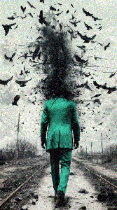 The Exit Wound