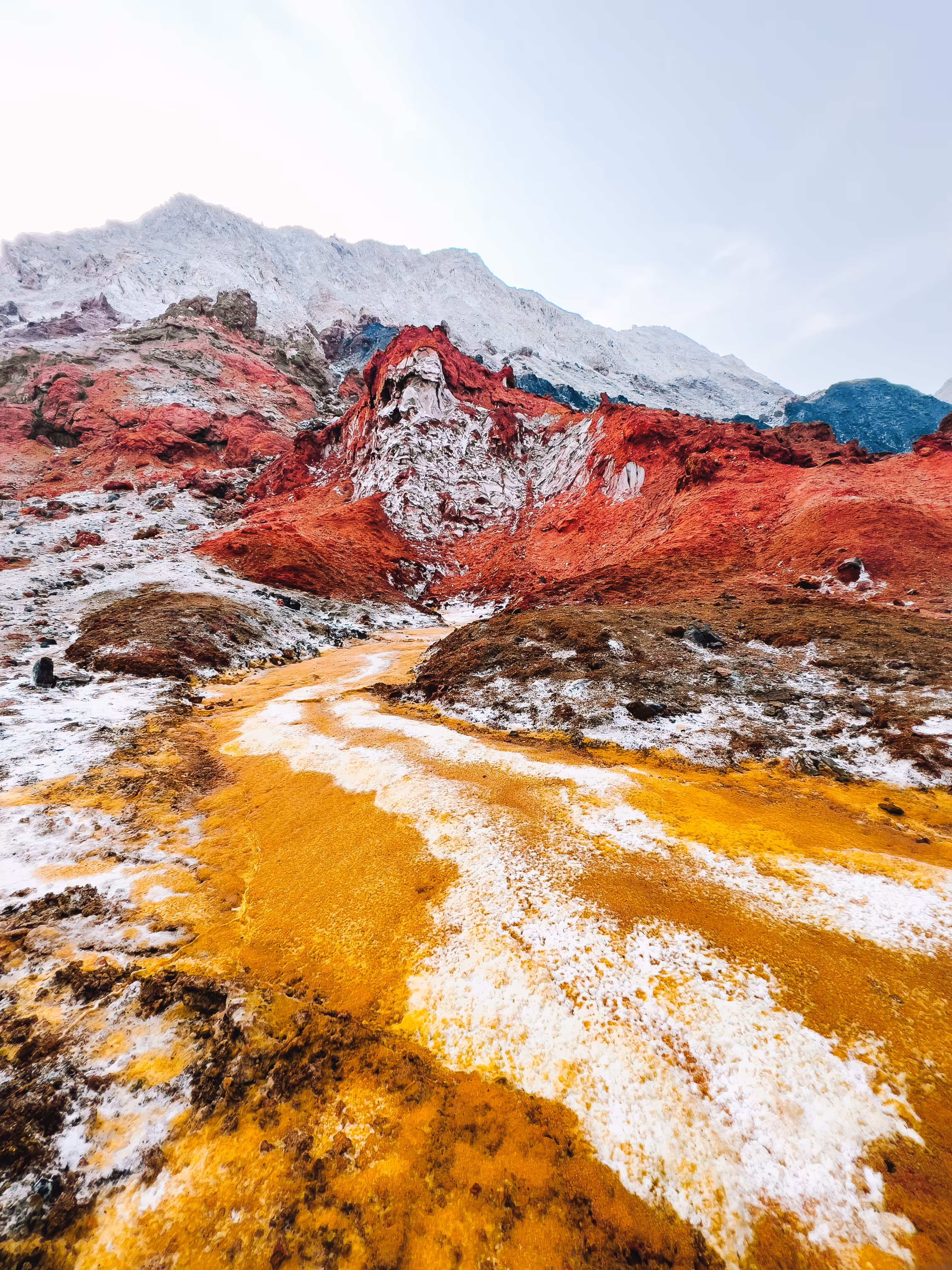 A Journey Through Alien Terrain