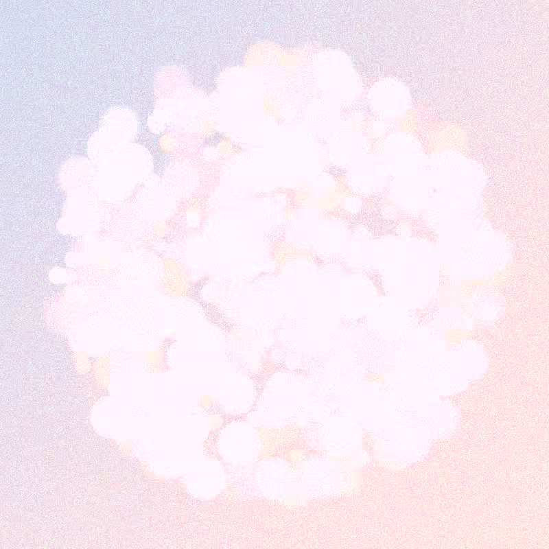 Furbol #890