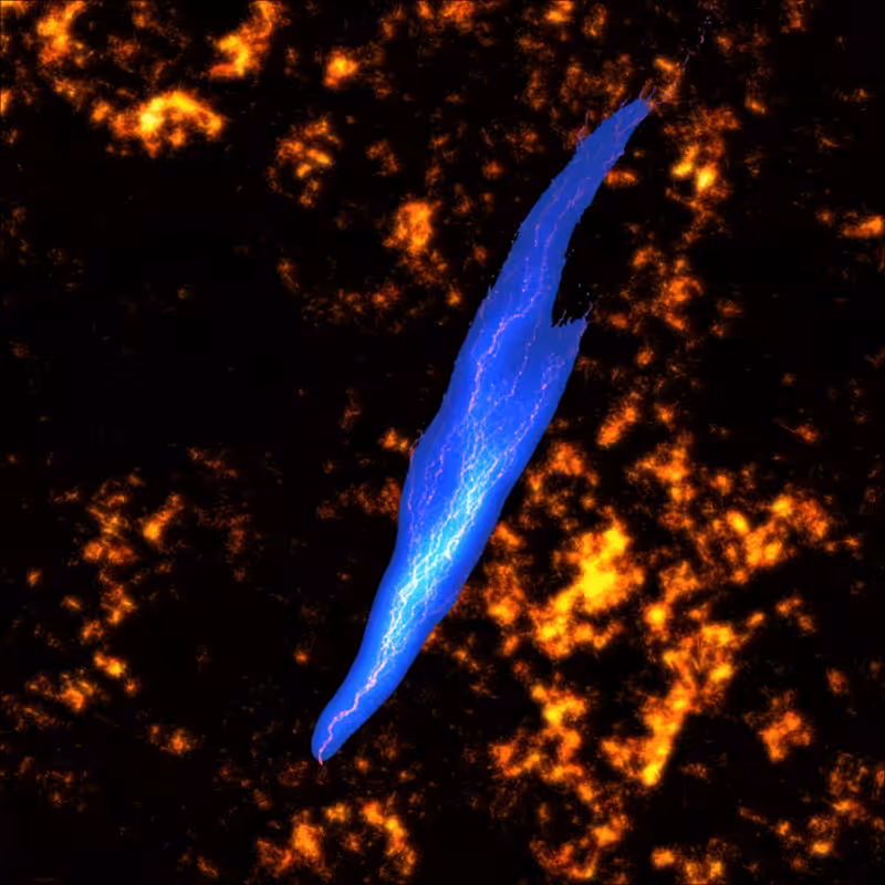 lightning in the brain #5