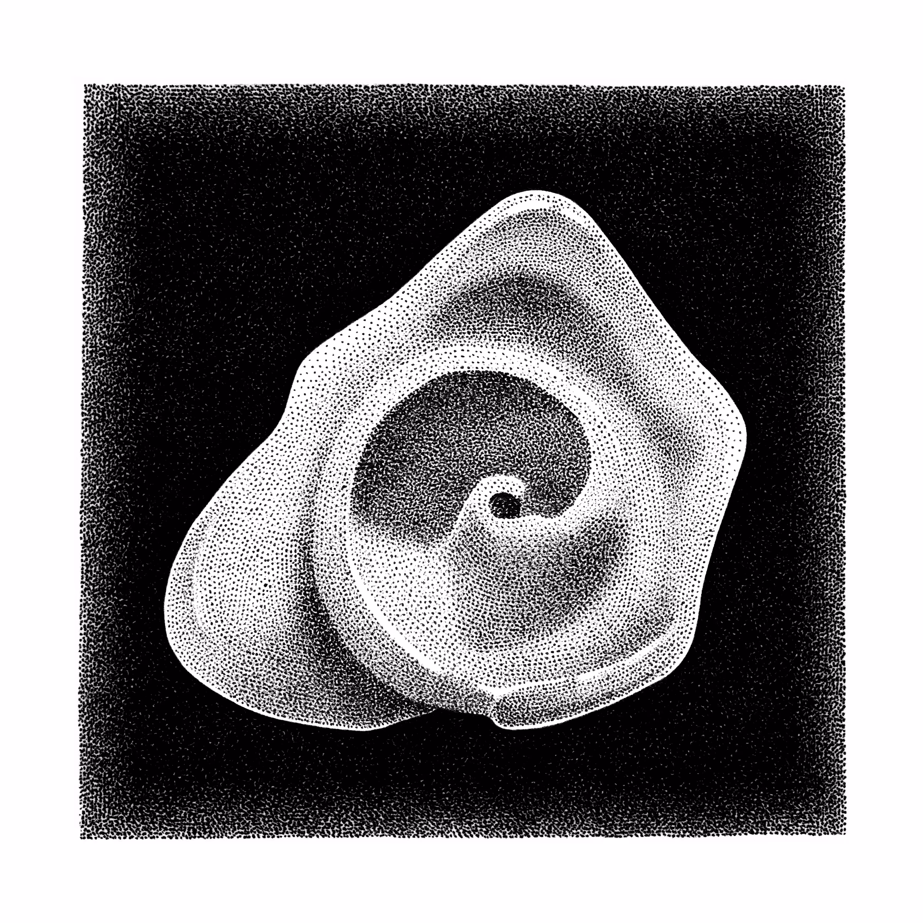 broken_shell_2