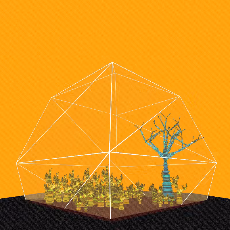 Fantastical Terrariums #56