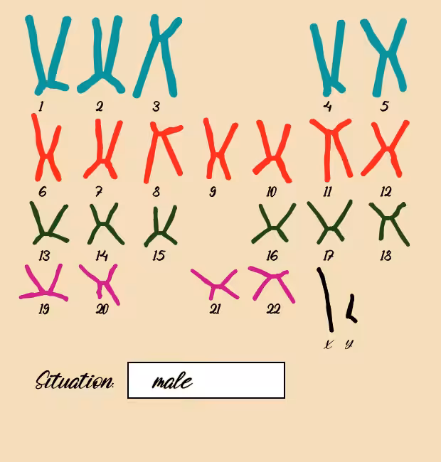 "Karyotype" #3