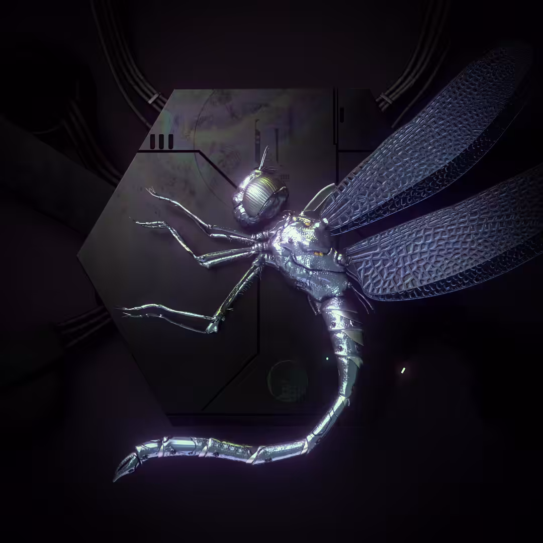 DragonflyZ8