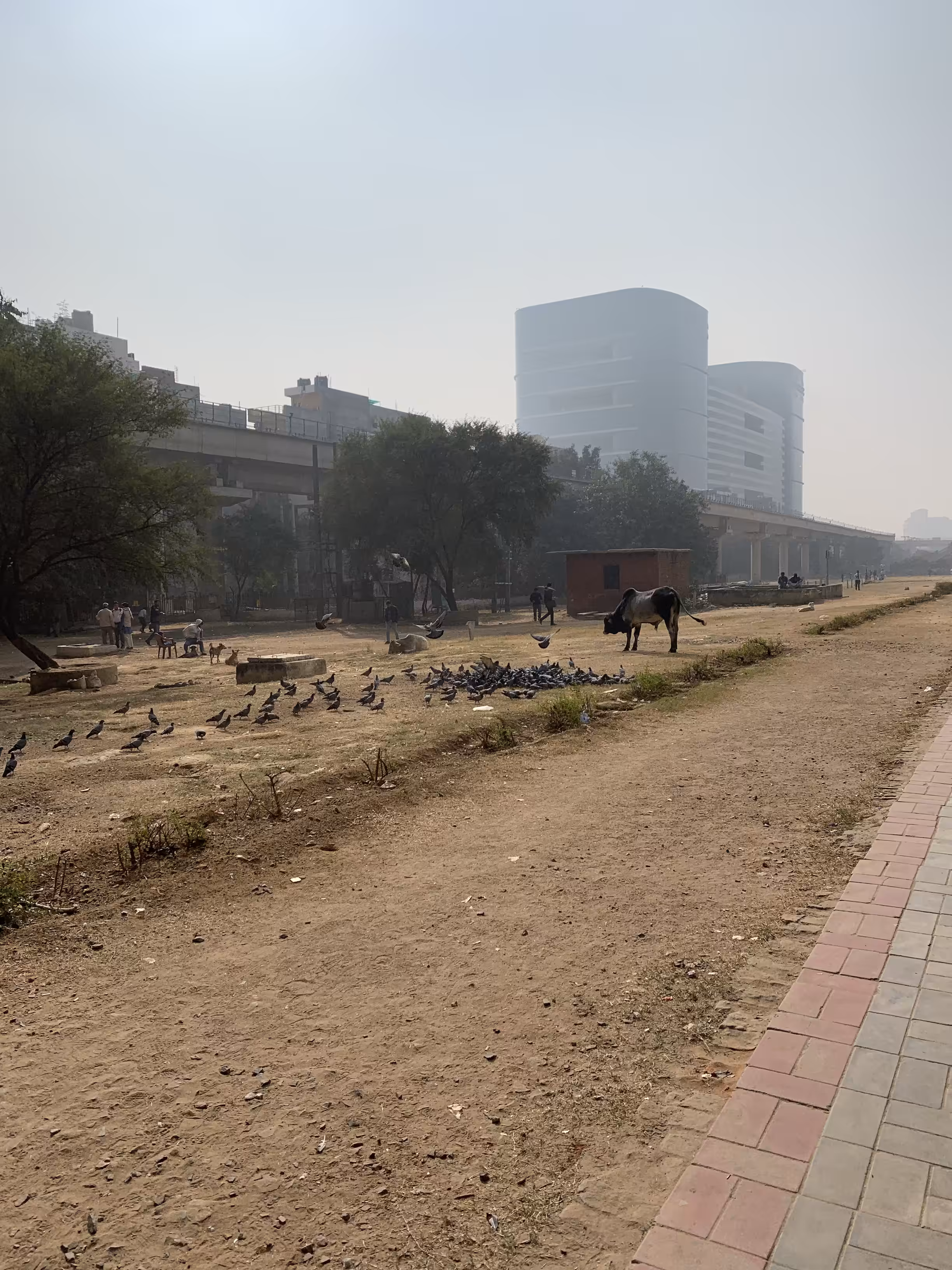 India in 24