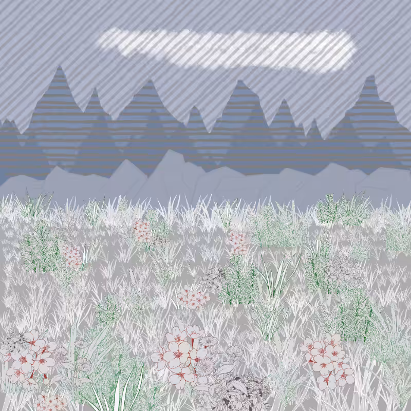 Mountain Meadows #13