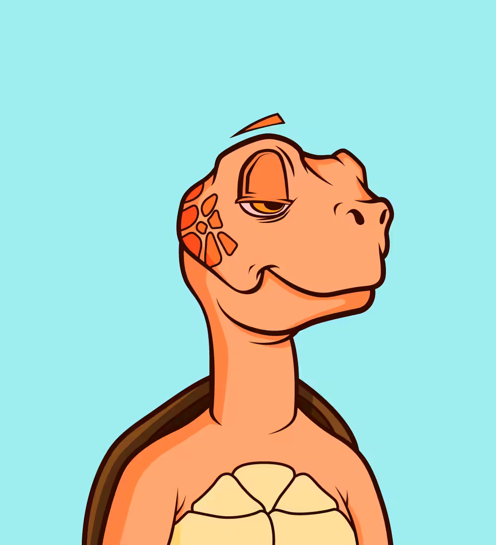 Tiny Turtle 234