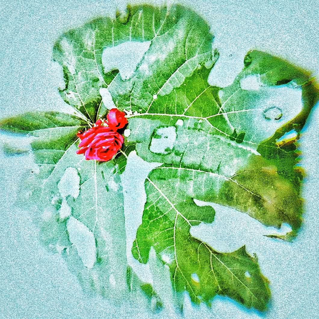 Survivor