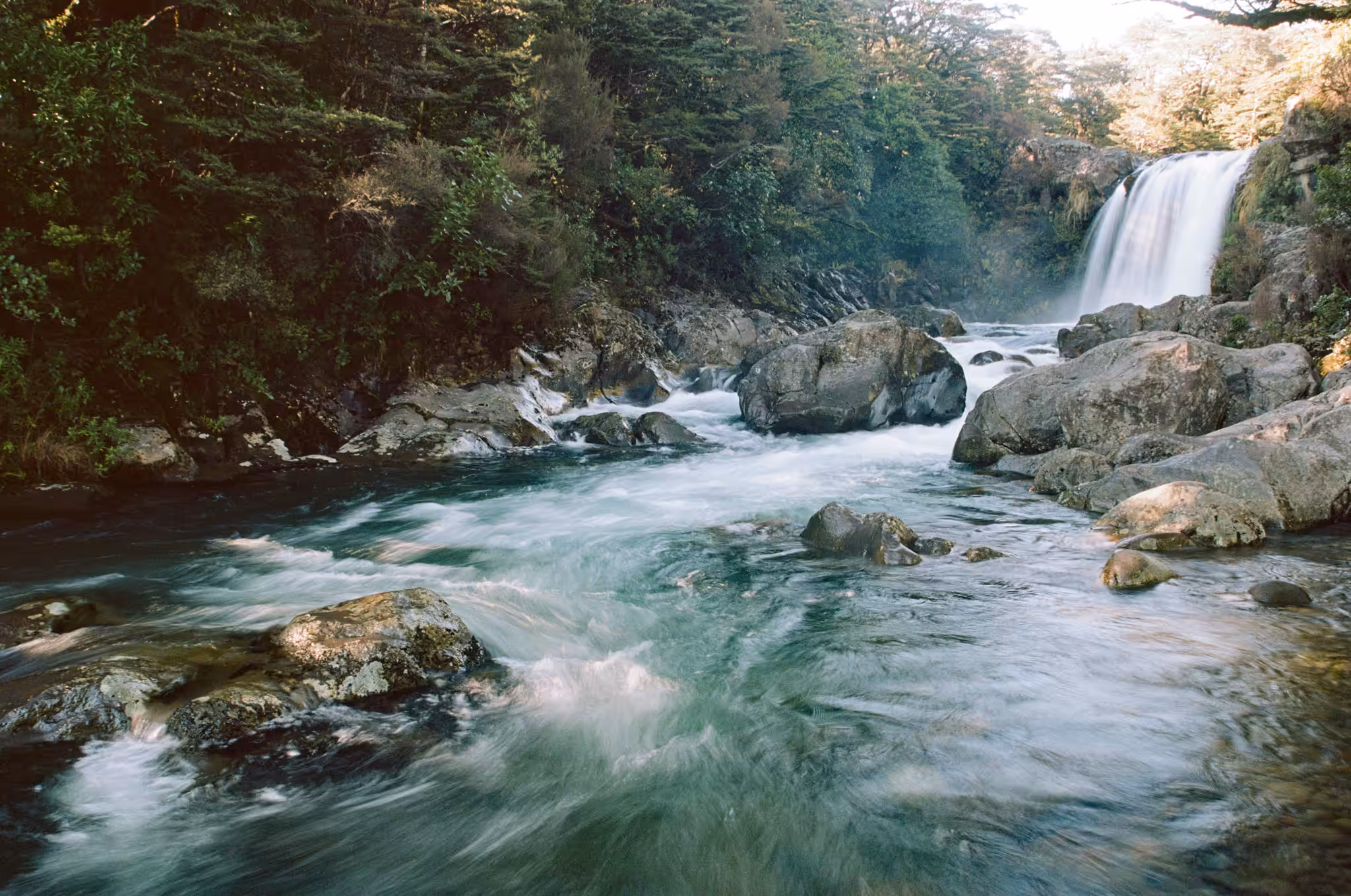 Tawhai Falls #2