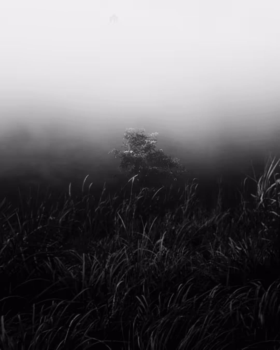Solitary