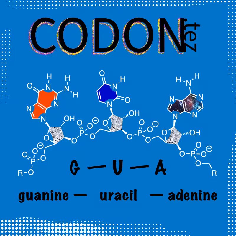 Codon Minter #8