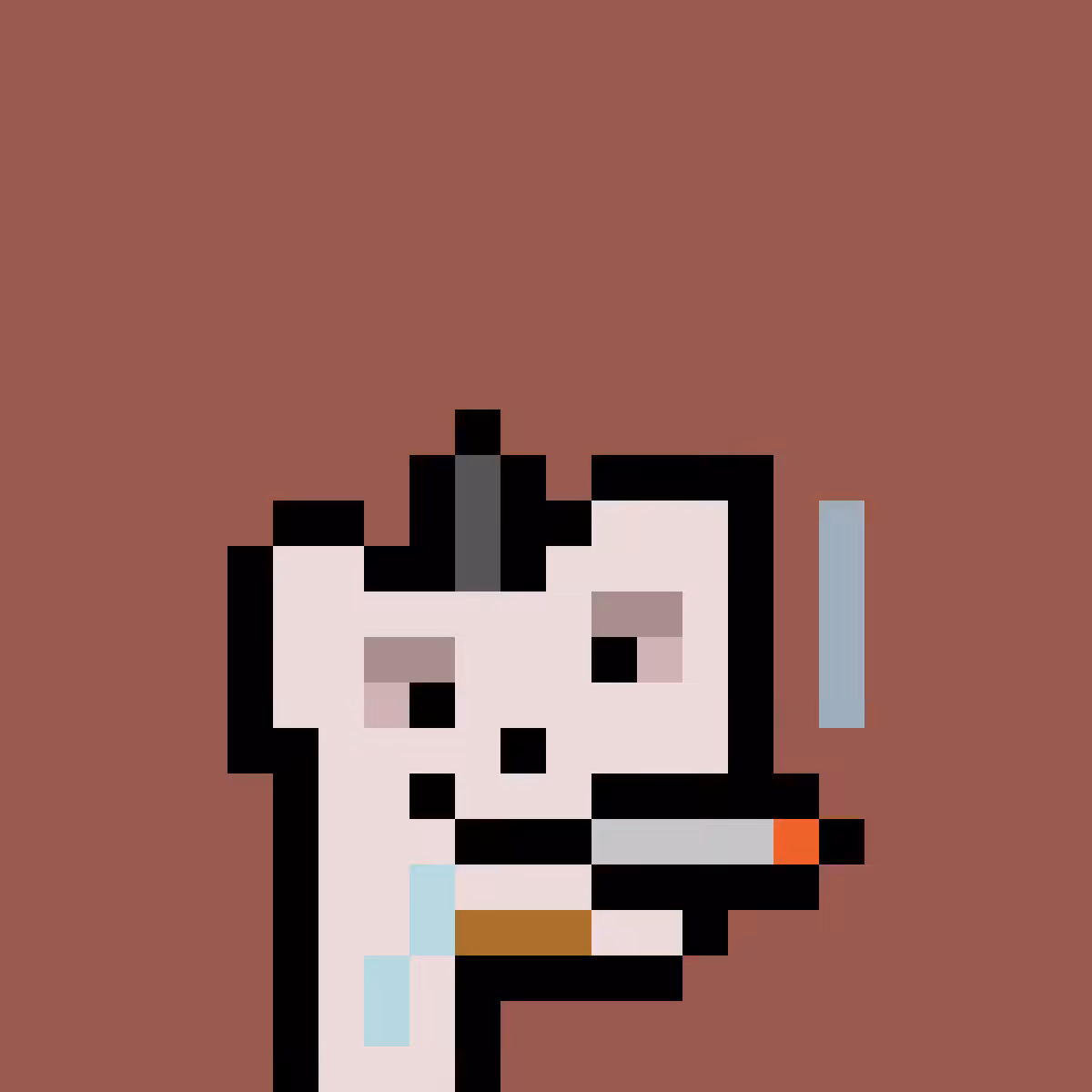 PNUKS #5343