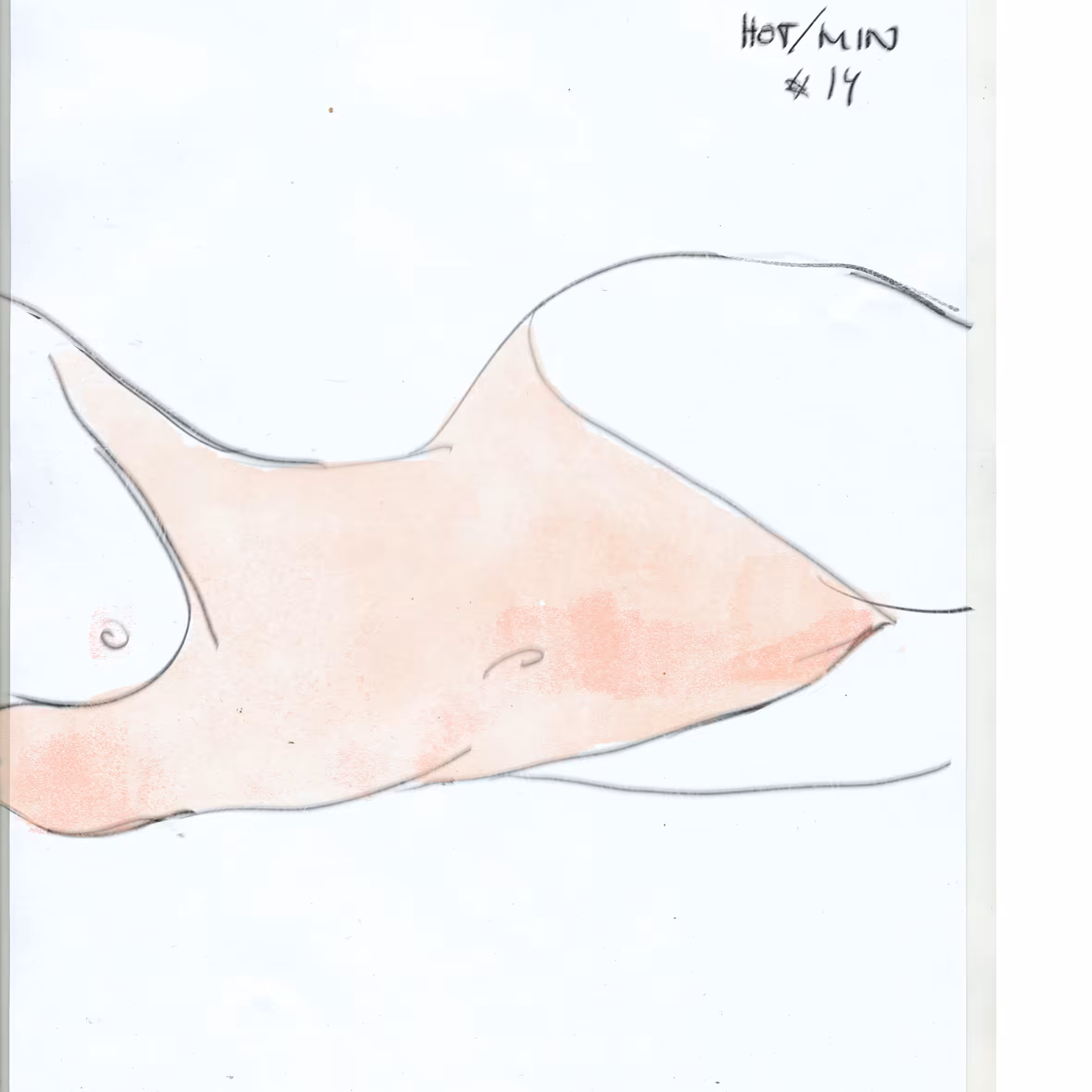 HOTMIN#14