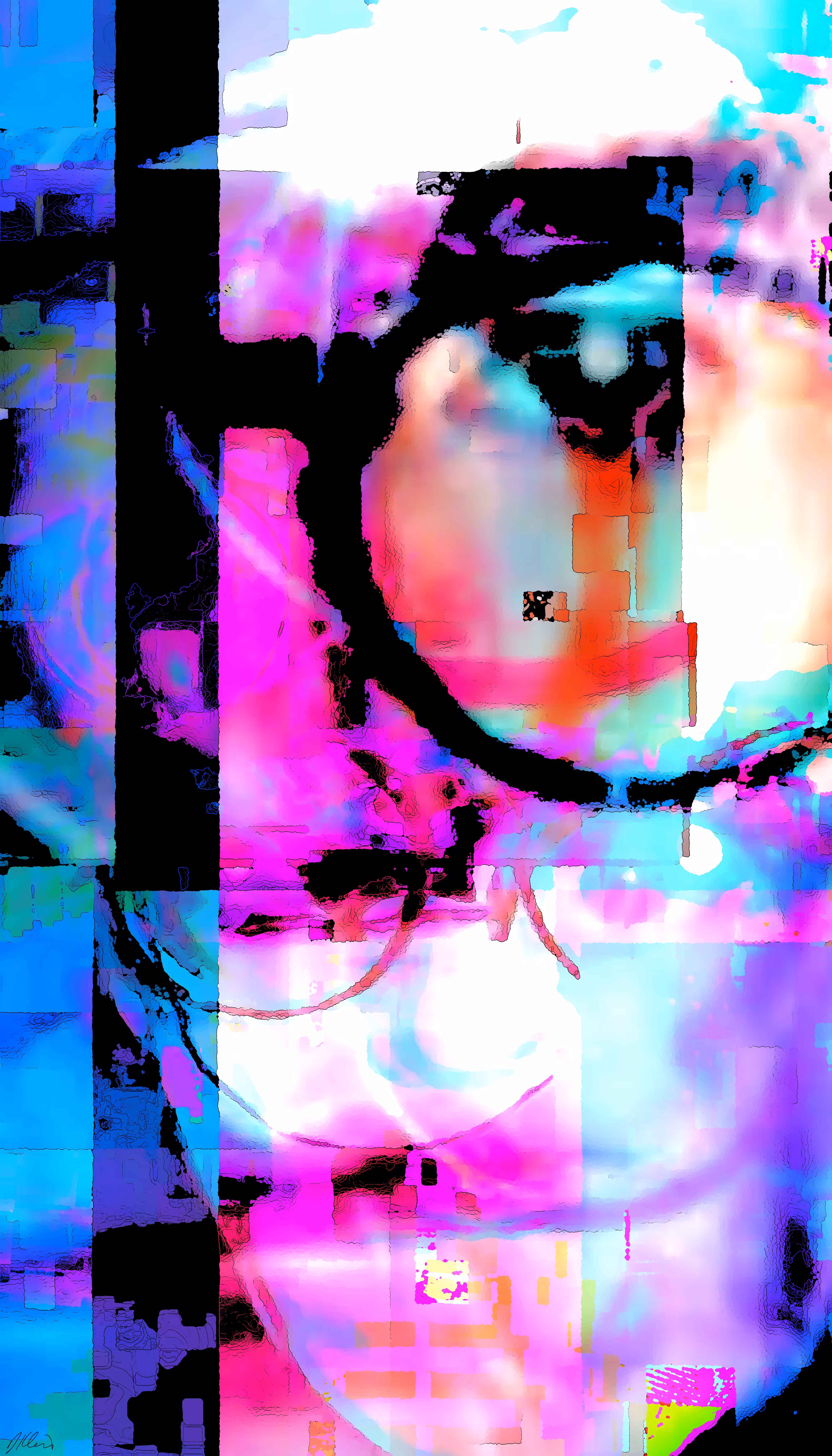 Merged Fragments of Warhol