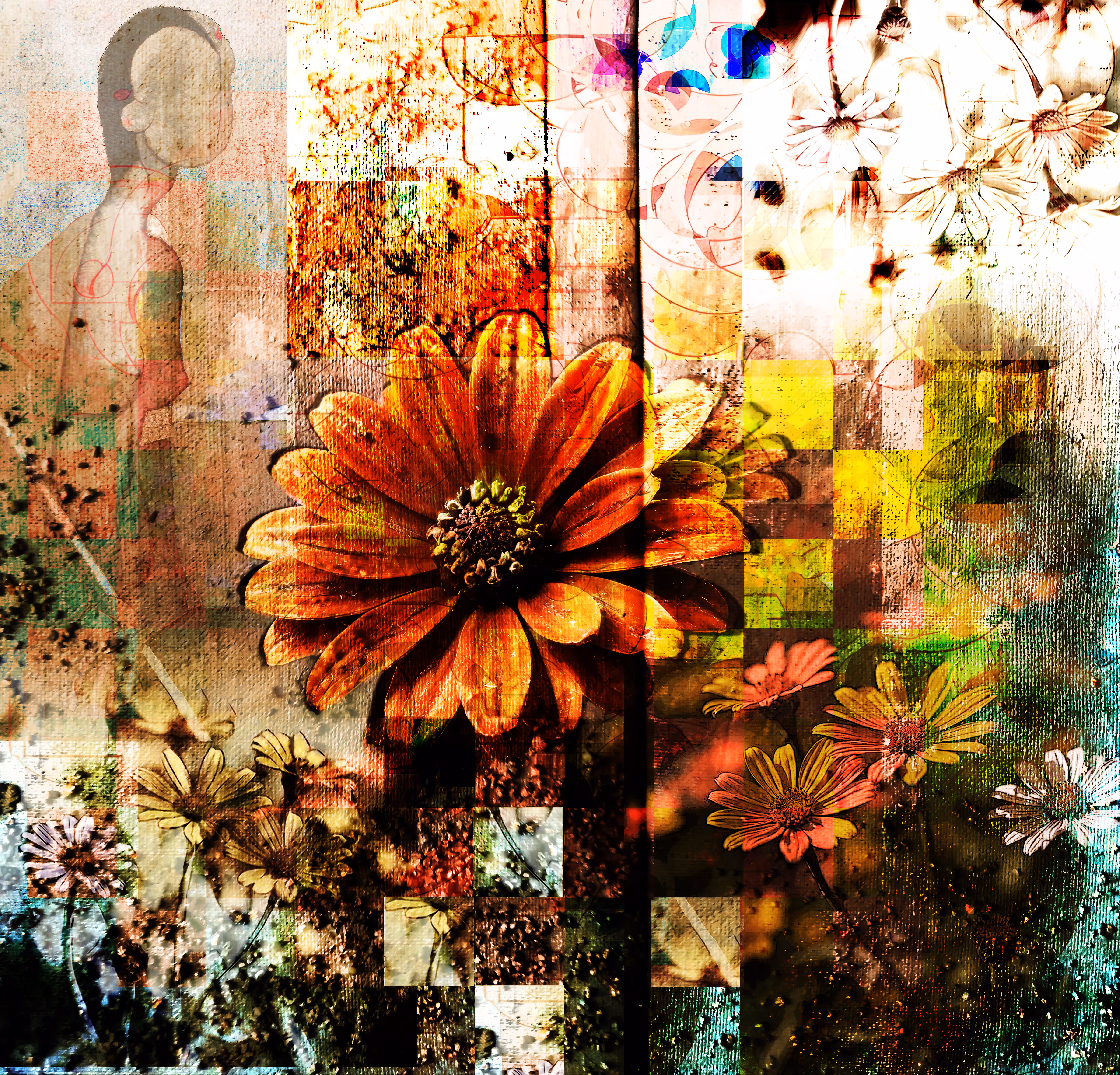 African Daisy. Feeling Flowers #8 #1