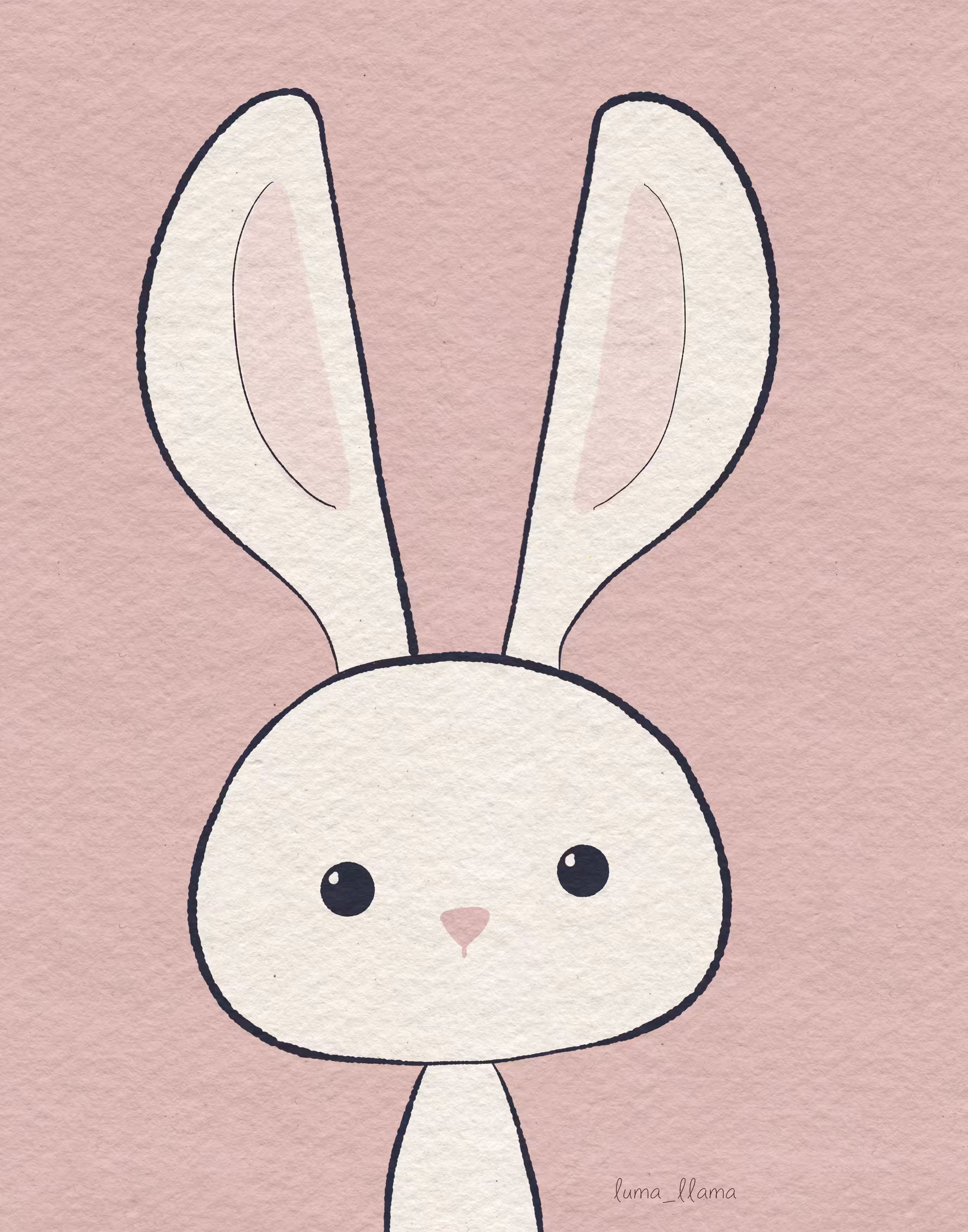 Bunny